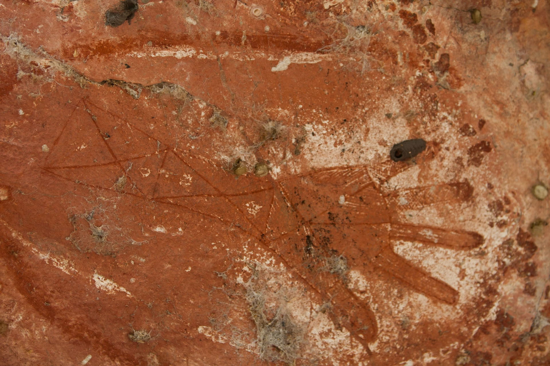 Rock-art hands, Mount Borradale, Arnhemland, Northern Territory