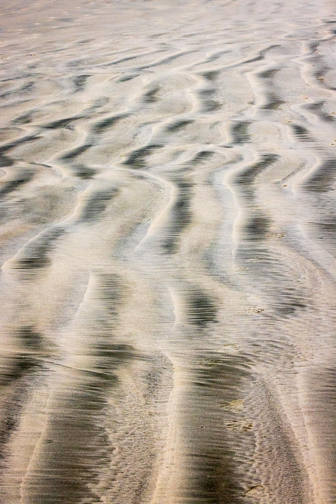 Between Dunedin and Invercargill