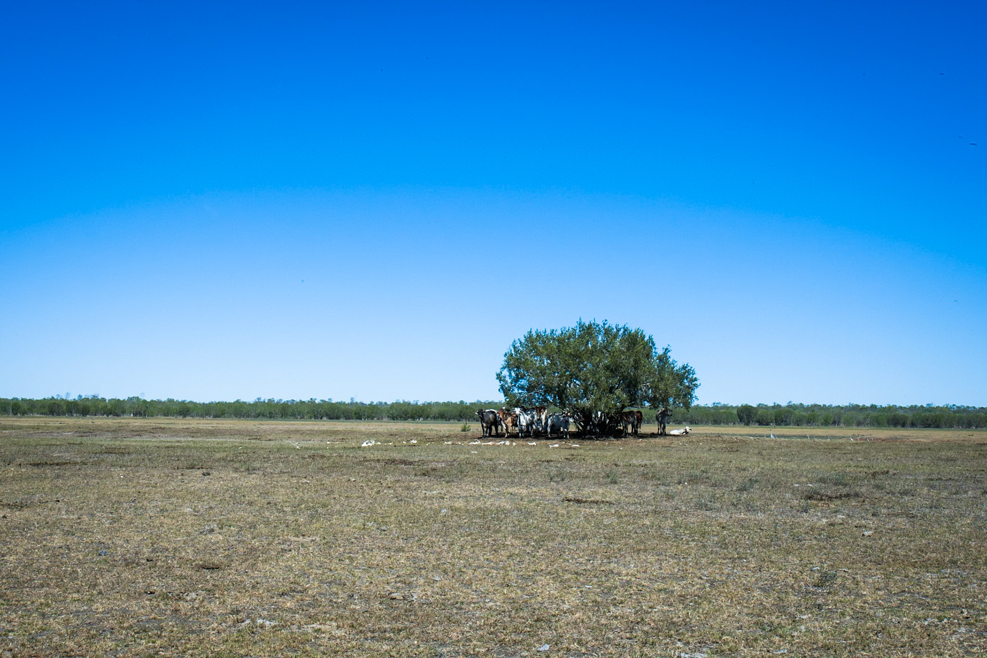 Broome, West Australia
