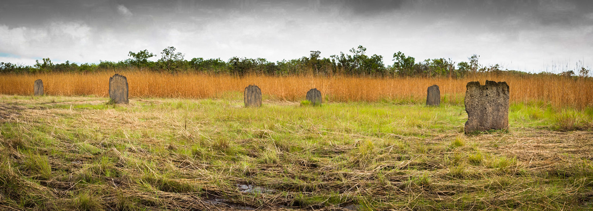 Magnetic-ant hills, Litchfield, Northern Territory