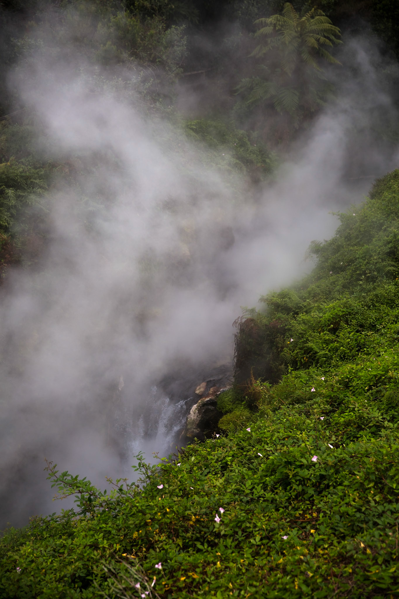 Crater Lake and Rainbow Mountain, Rotorua, New Zealand