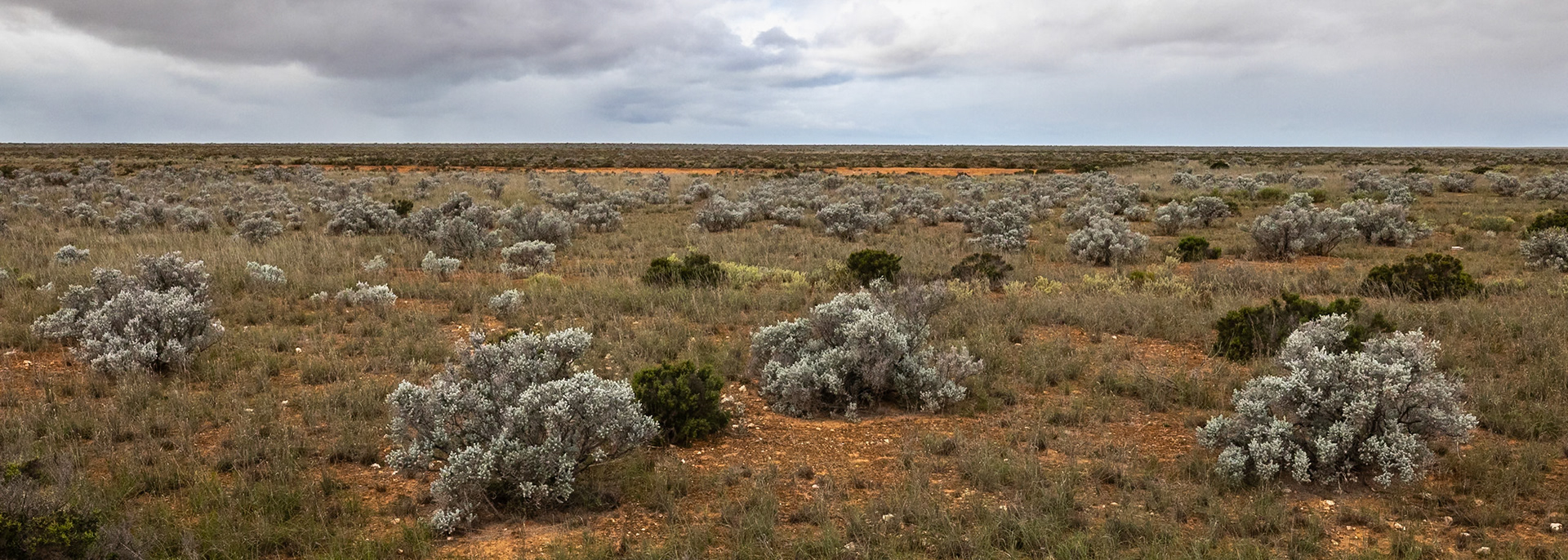 Nullarbor Roadhouse, South Australia
