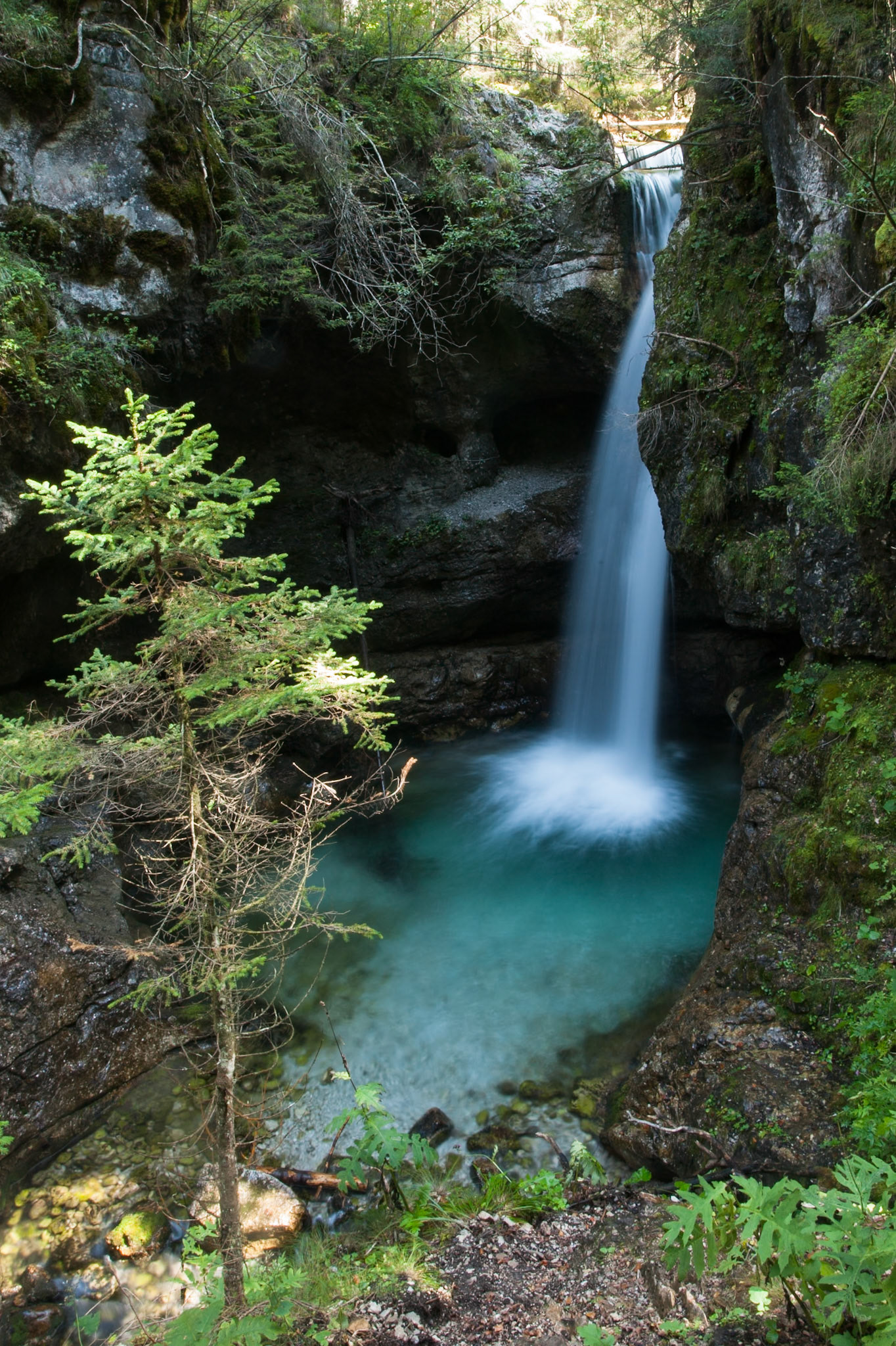 Mountain stream, Madonna di Campiglio, Italy.