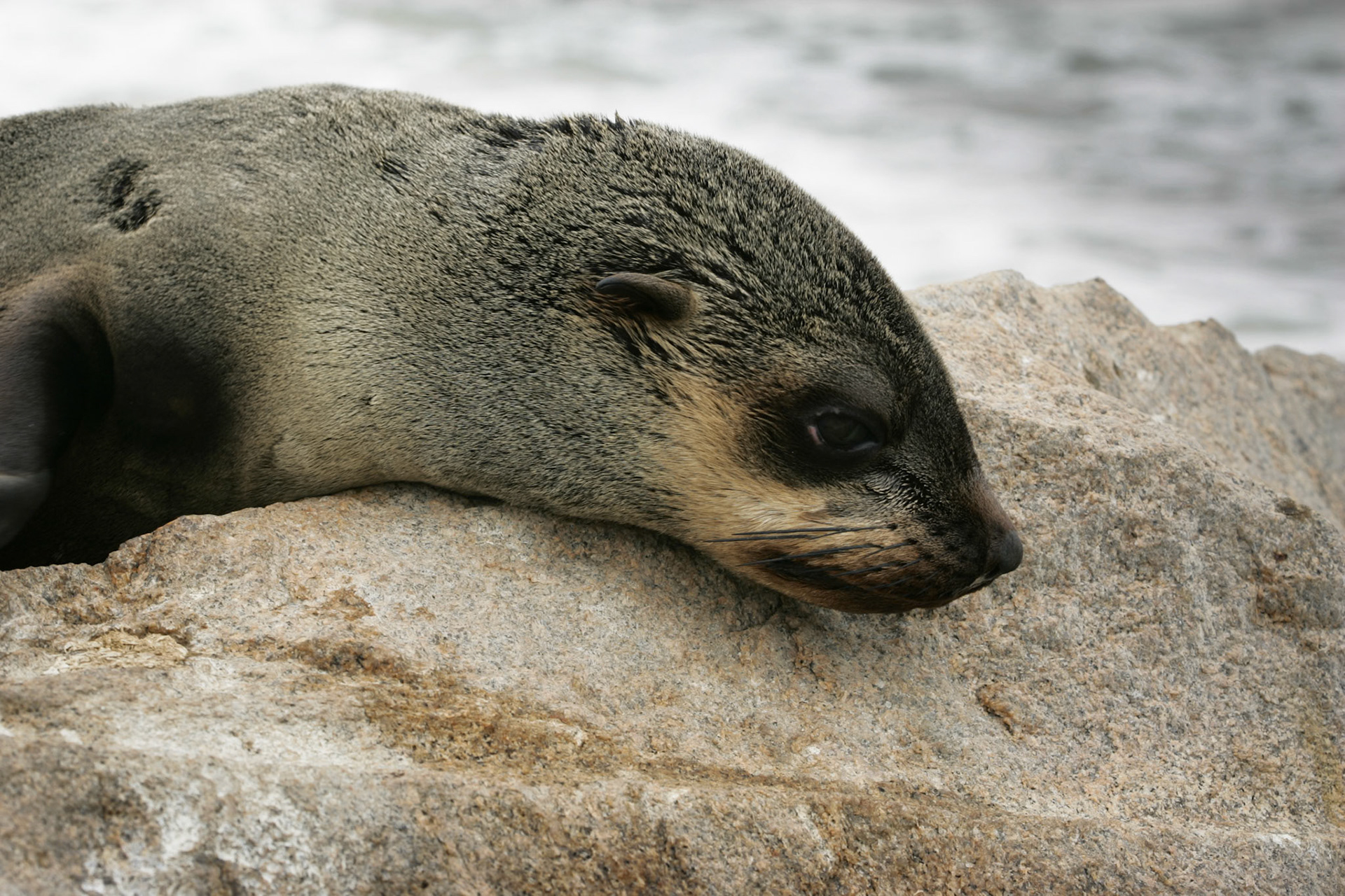 Sesriem to Sandwich harbour, Namibia