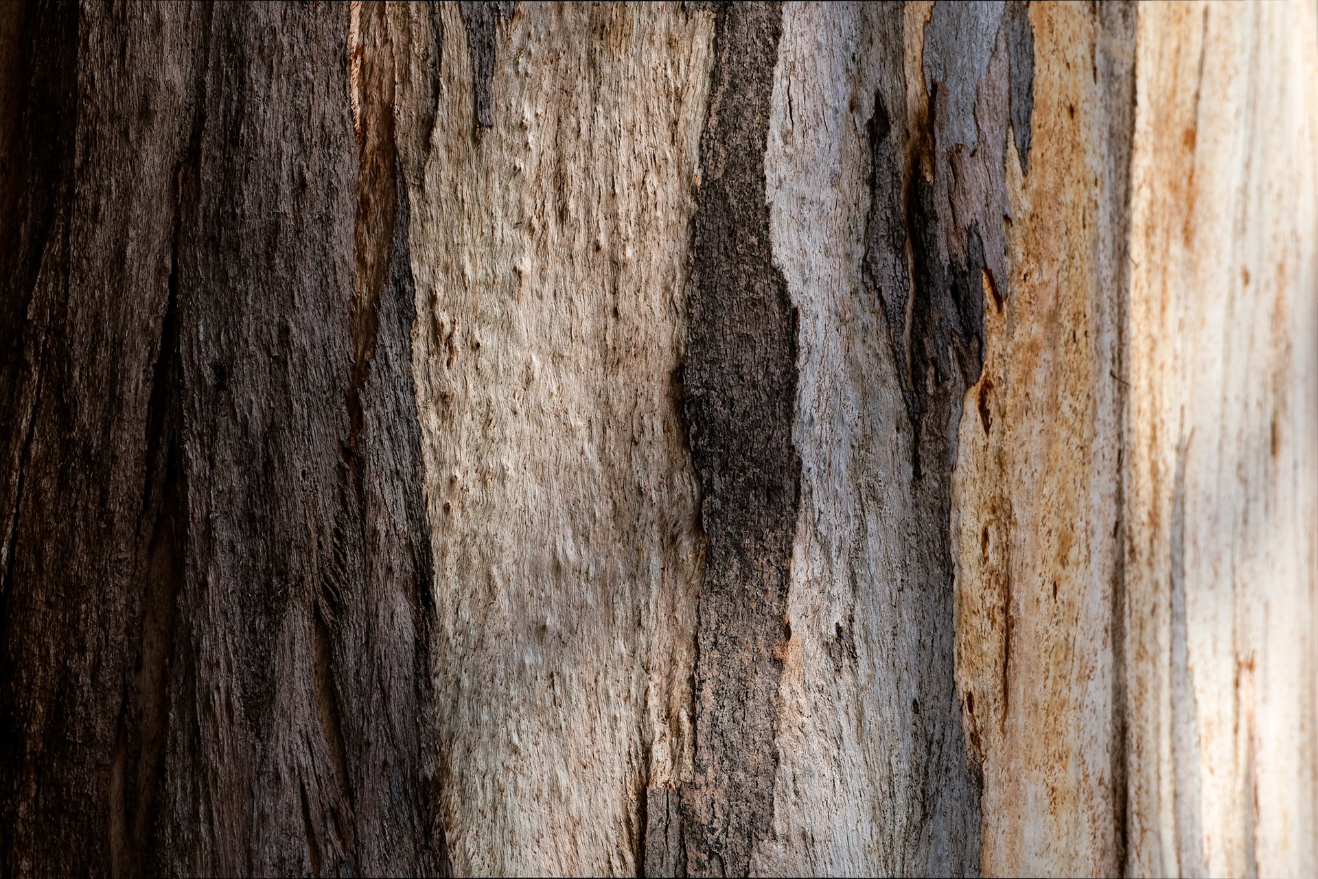 Landscape, Bruny Island, Tasmania, Australia