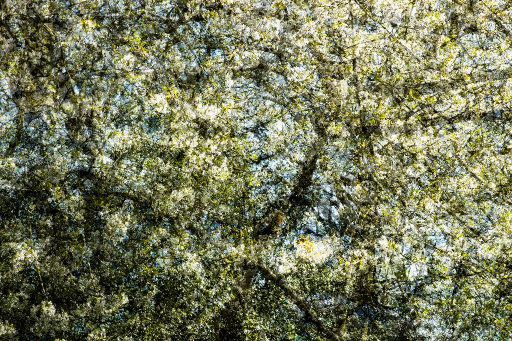 Bernard Shaw's House, near Harpenden, England