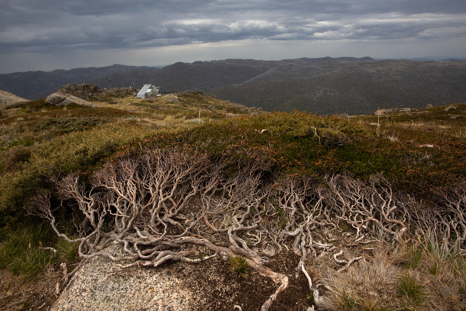 Thredbo to the cablecar and return, Mount Kosciuszko National Park, Snowy Mountains, New South Wales
