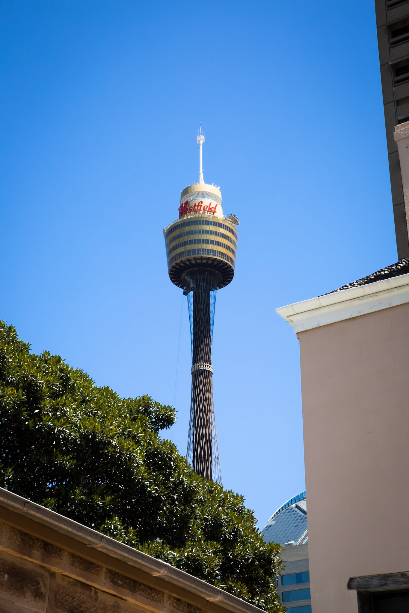 Sydney Tower