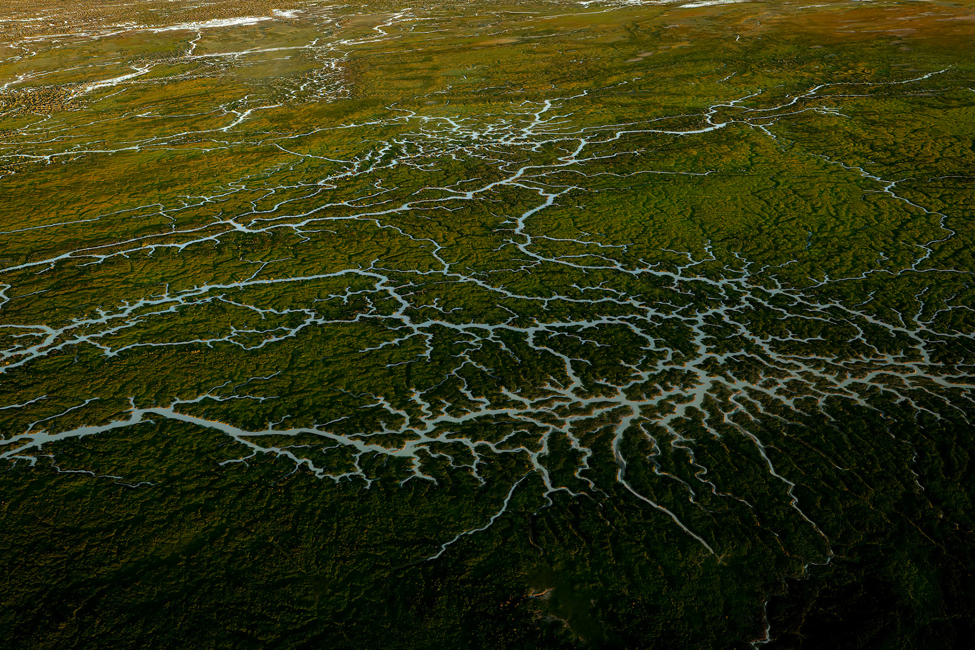 Landscape, Goyder lagoon, Birdsville, Queensland, Australia