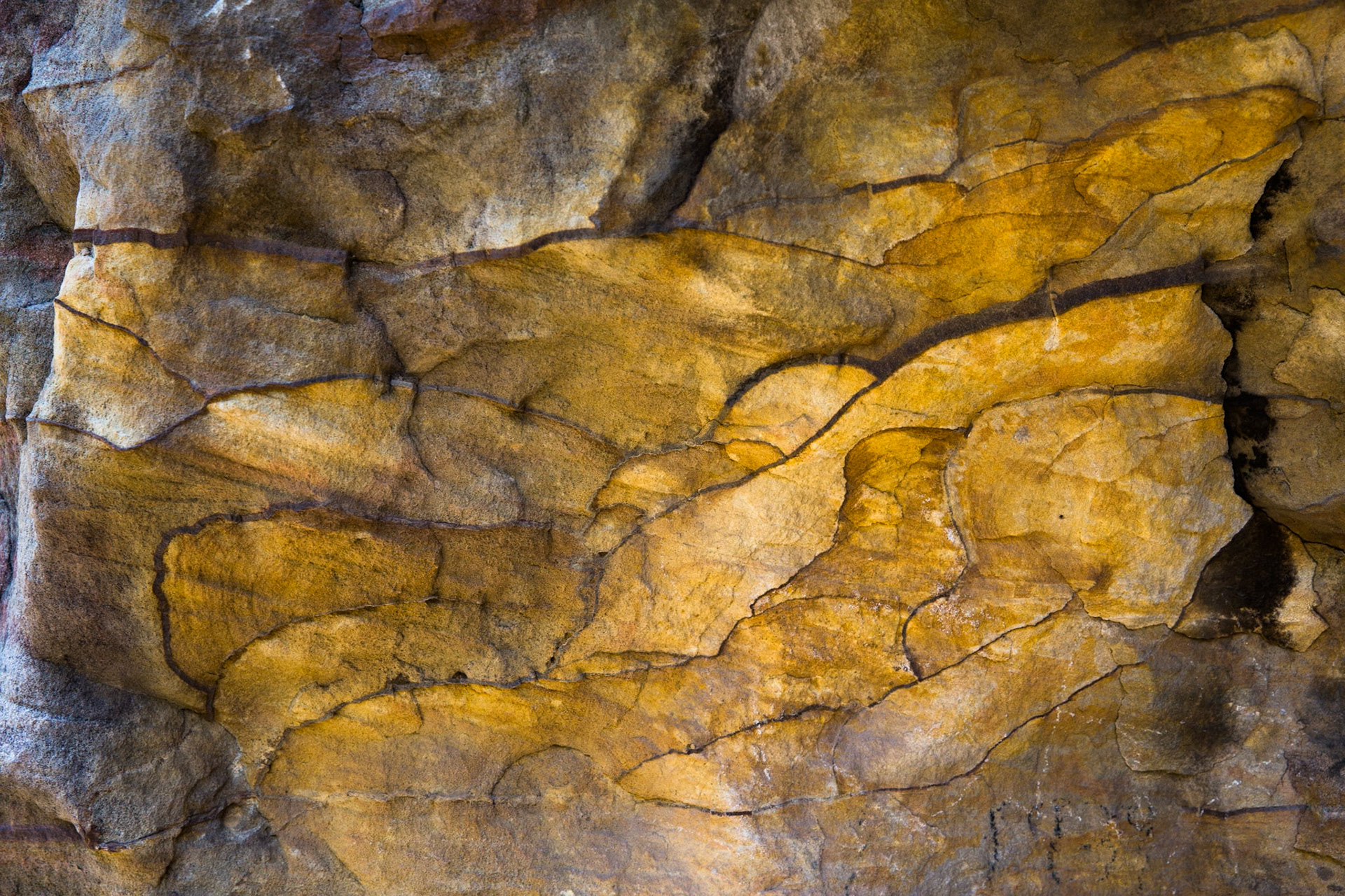 Descended from Neates Glen car park down to and through the Grand Canyon and back up to Evans Lookout. We continued along the clifftop path to Govett's leap and then on to Pulpit Rock. Notes by Peter Watt.