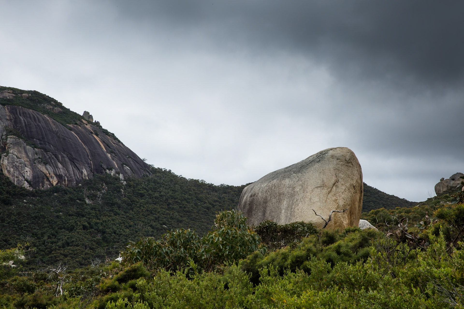 Circuit from Telegraph Saddle via Telegraph Junction to Oberon Bay (lunch), then Little Oberon Bay, Norman Point  and Norman Beach to Tidal River.