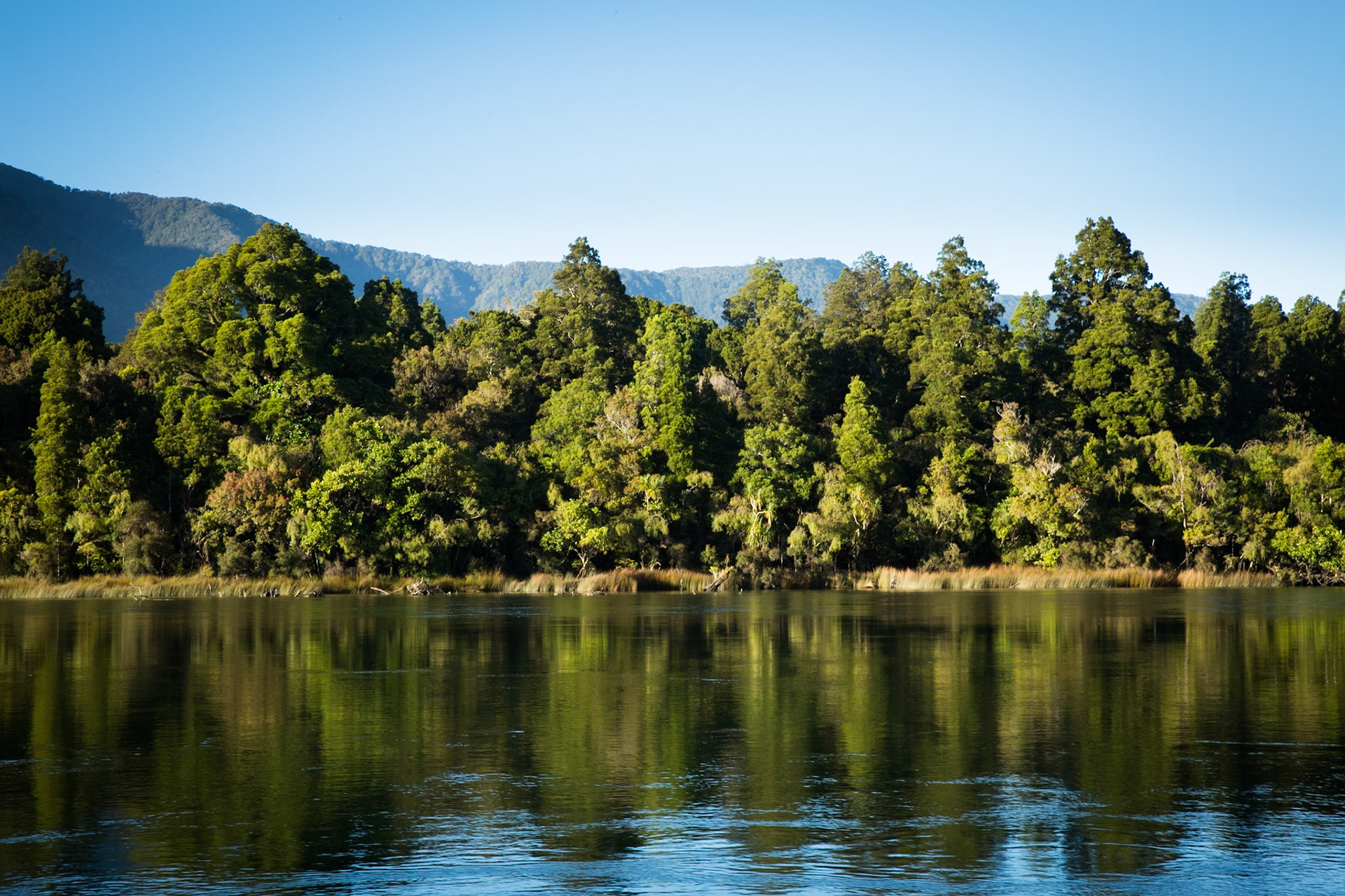 Hollyford Track, Martin's Bay, New Zealand