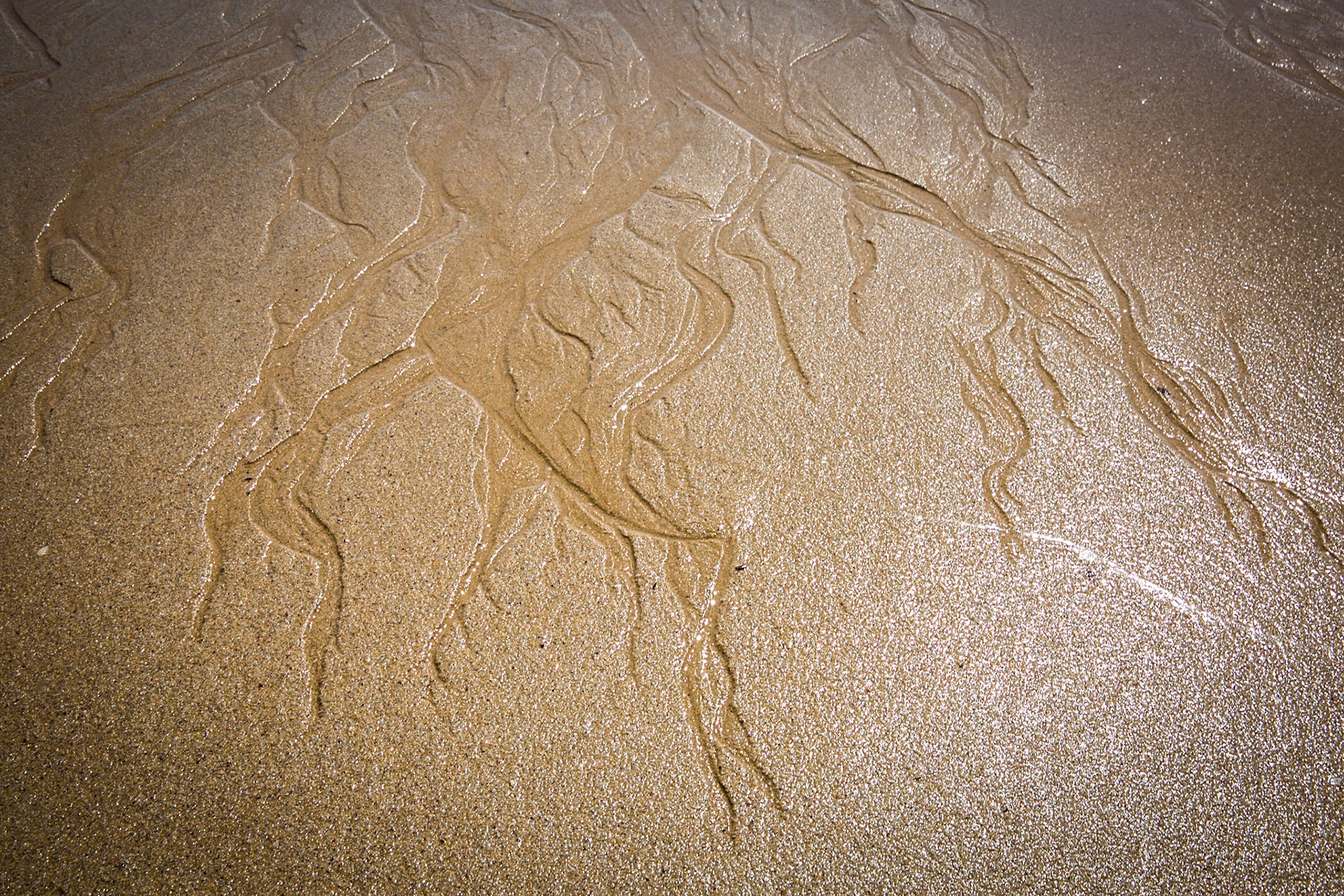 Tuesday am - Darby Saddle via Sparkes Lookout and Lookout Rocks to Tongue Point; and then on to Darby River for lunch.Tuesday pm - Lilly Pilly Gully carpark up to Tidal Overlook and on to Pillar Point then via Squeaky Beach and Picnic Beach to Picnic Beach carpark.