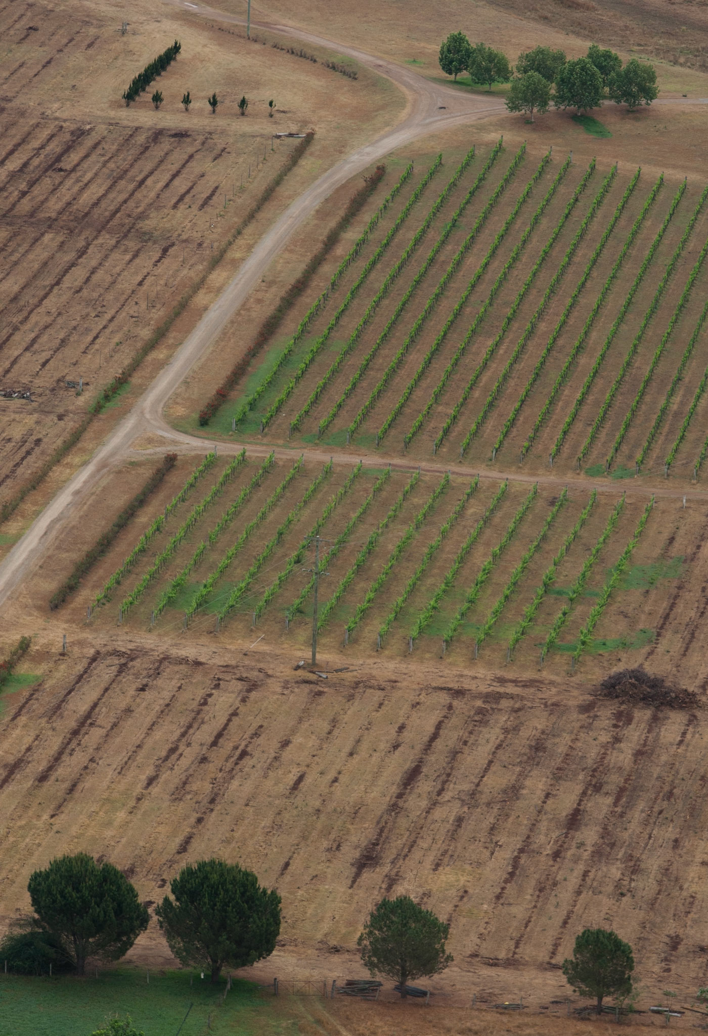 Hot air balloon ride in the Hunter Valley, New South Wales.