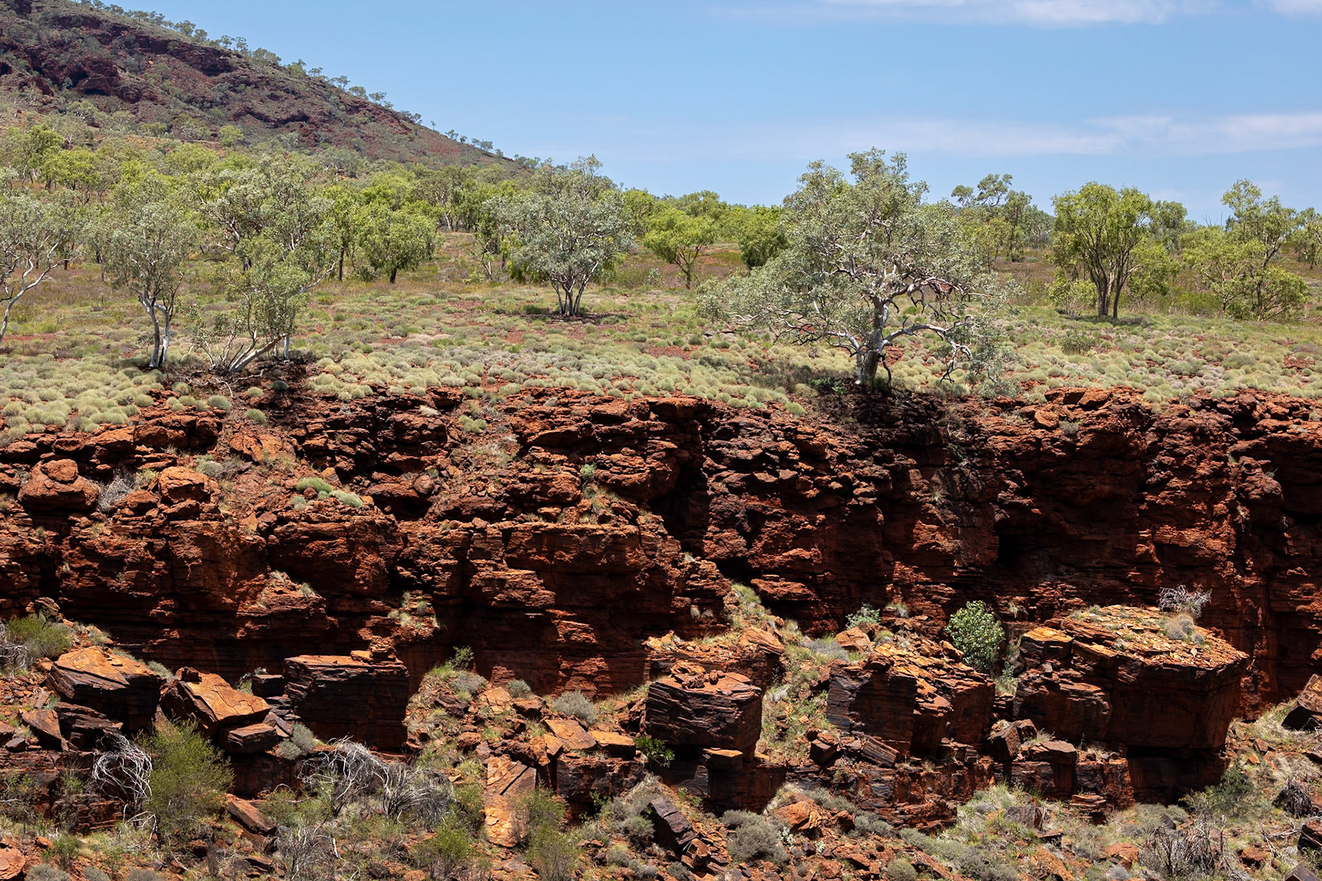 Fern Pool, Dale's Gorge, Karijini National Park, Western Australia