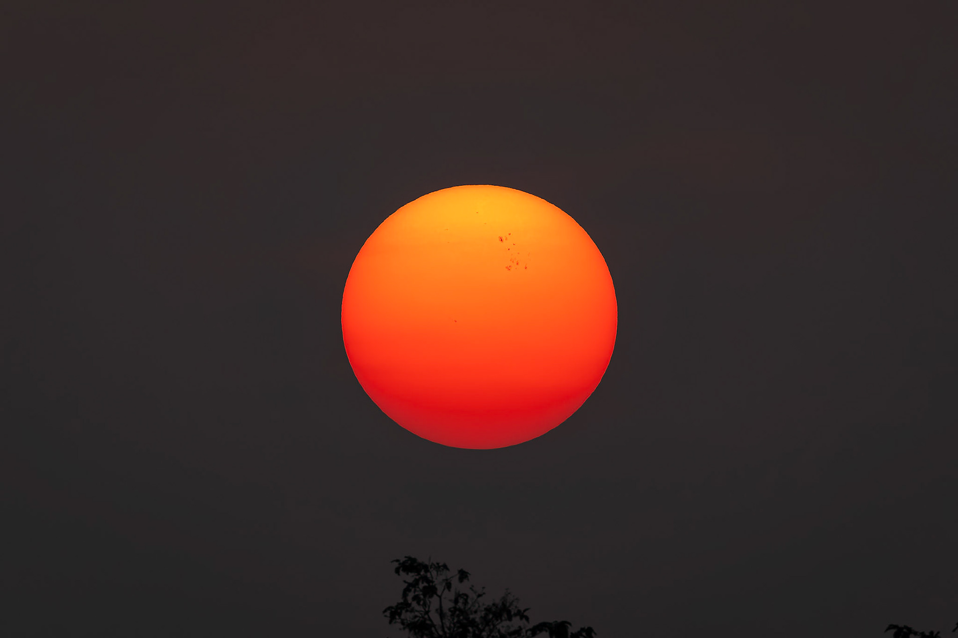 Landscape, Khana, India