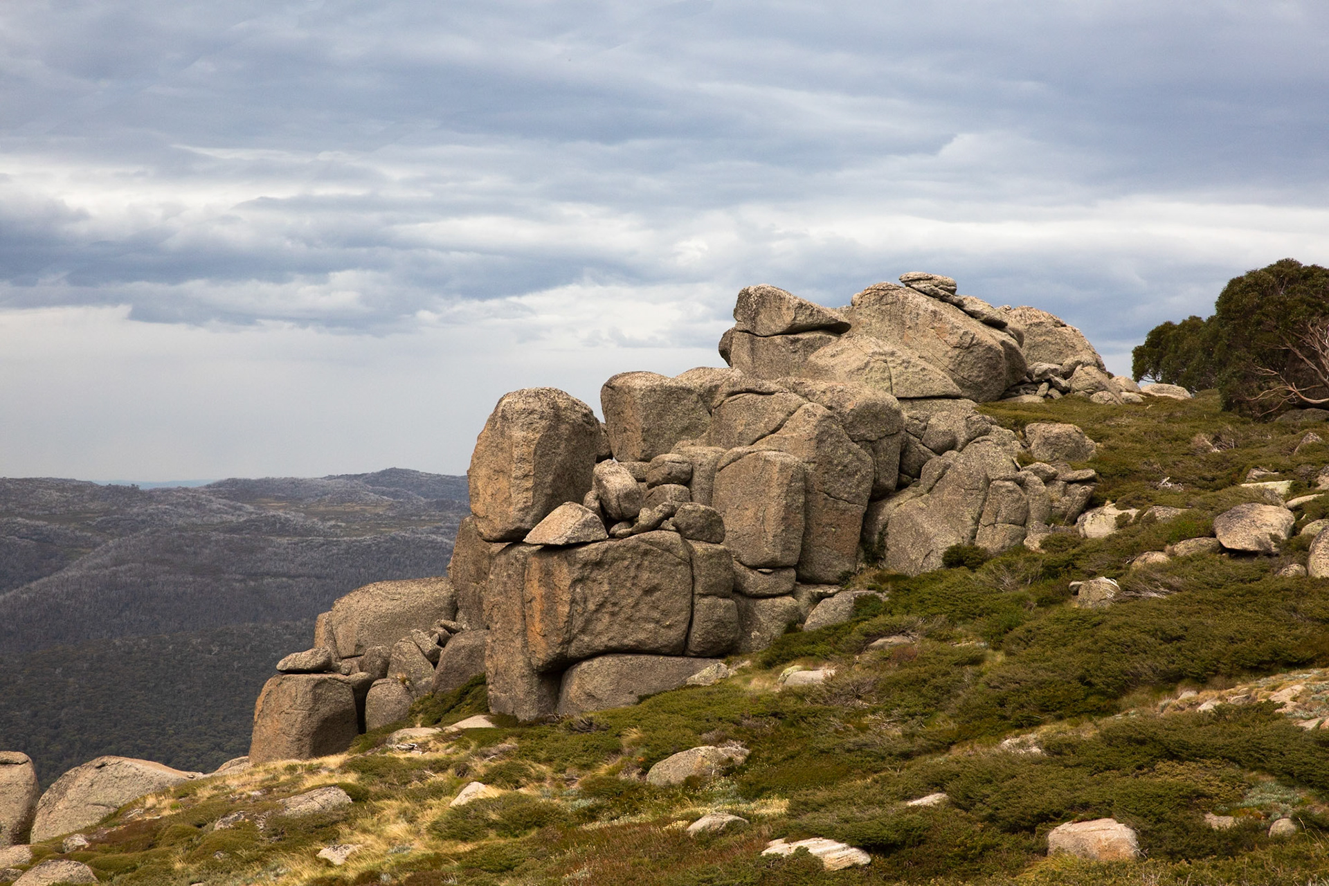 Thredbo to the cablecar and return, Mount Kosciuszko National Park, Snowy Mountains, New South Wales