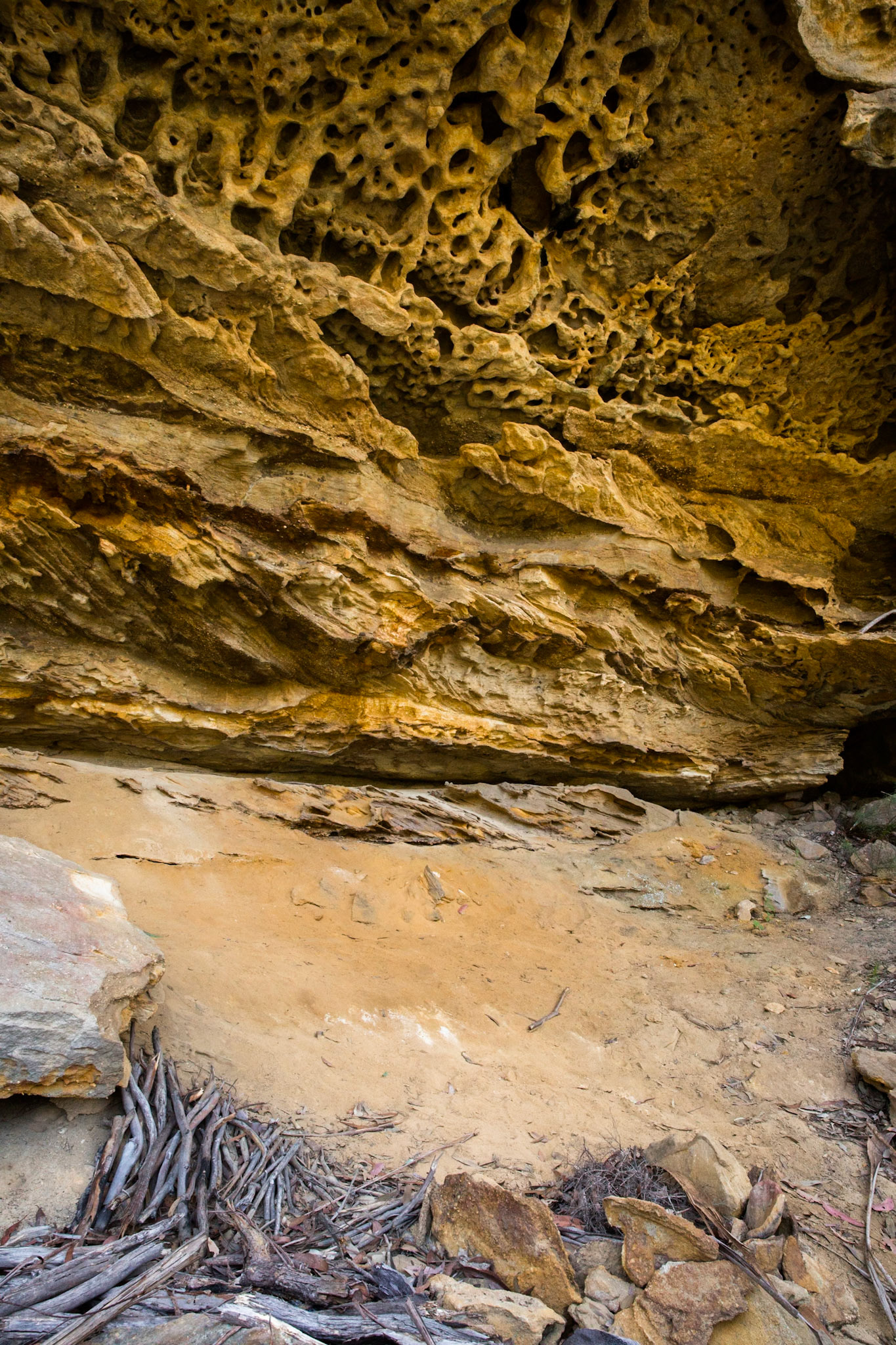 From Springwood Station walked to the bottom of Sassafras Gully Road, descending the gully following the creek downstream to Perch Ponds (tea stop) at the intersection of Magdala and Glenwood creeks.  Continued downstream following Glenbrook creek past Martin's camping area and then took the track out of the creek up to Martins Lookout (lunch).  Followed the service road back to Farm road. Notes by Peter Watt.