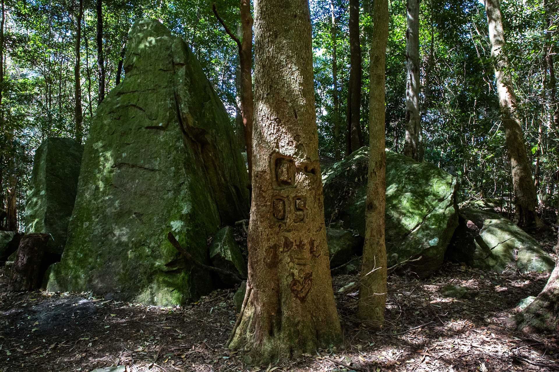 Started on the track to Golf Links lookout. Walked past the Pool of Siloam to Gordon Falls lookout. Followed the Prince Henry cliff walk to Leura Cascades from where we descended through Leura Forest to the junction with Federal Pass tea stop. Continued along Federal Pass past the junction with Dardanelles Pass (near the base of the Giant Staircase); past the base of Furber Steps to the Scenic Railway lower station (Lunch stop).  Some returned via the Scenic Railway, whilst others retraced steps and ascended the Giant Staircase to Echo Point. Notes by Peter Watt.