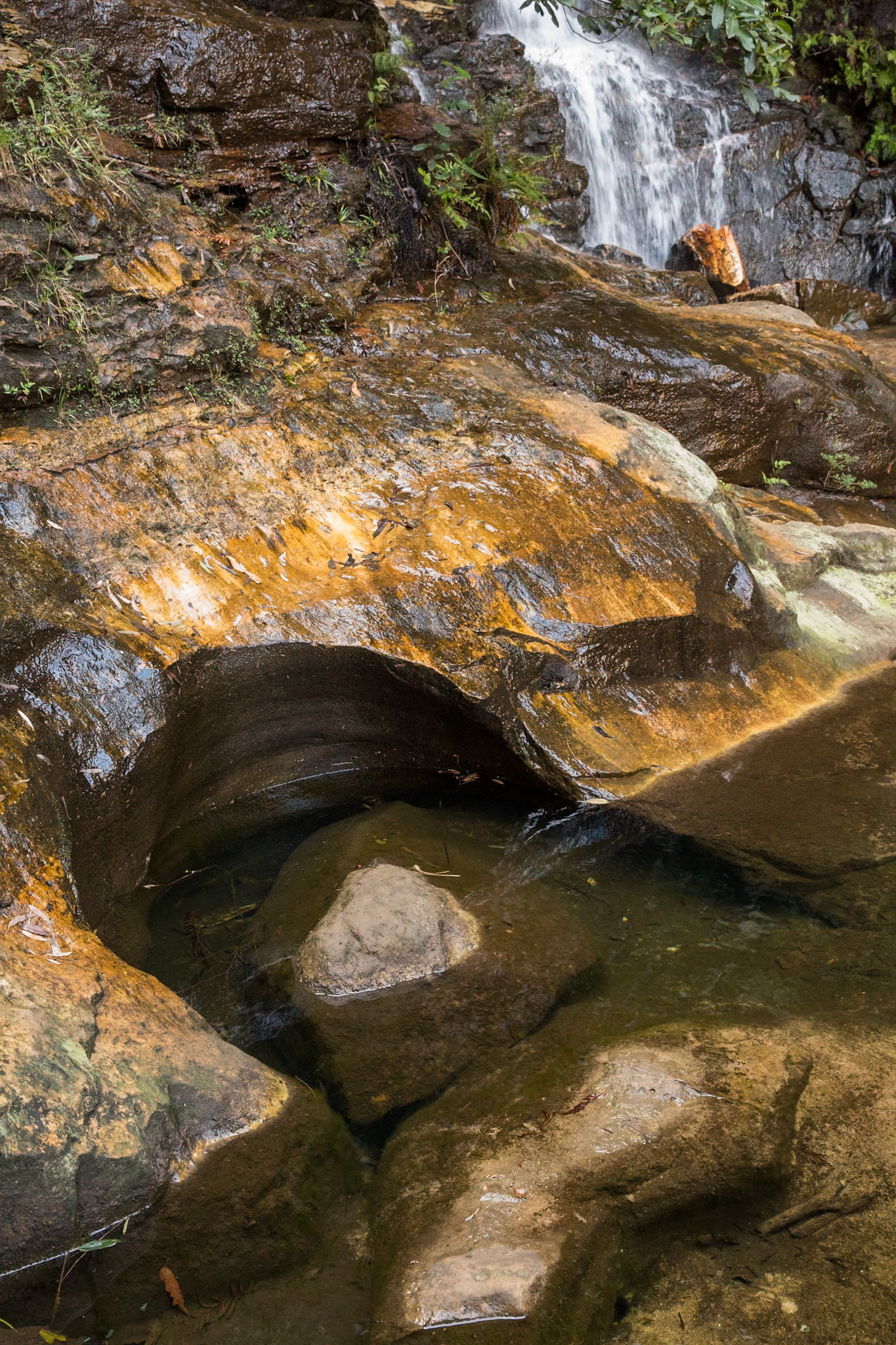 Started at the conservation hut and descended  the Valley of the Waters to Vera Falls. Tried unsuccessfully to find the route across to Hippocrene Falls.  Retraced our steps up to the conservation hut. Notes by Peter Watt.