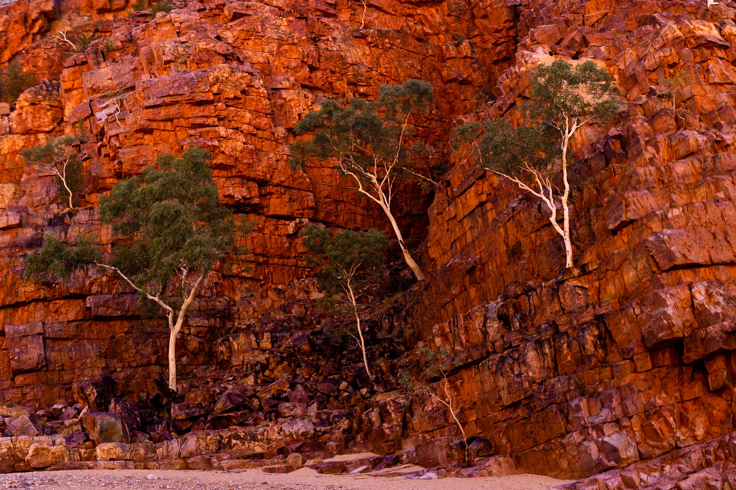 Orniston Pound, Larapinta Trail, Northern Territory, Australia