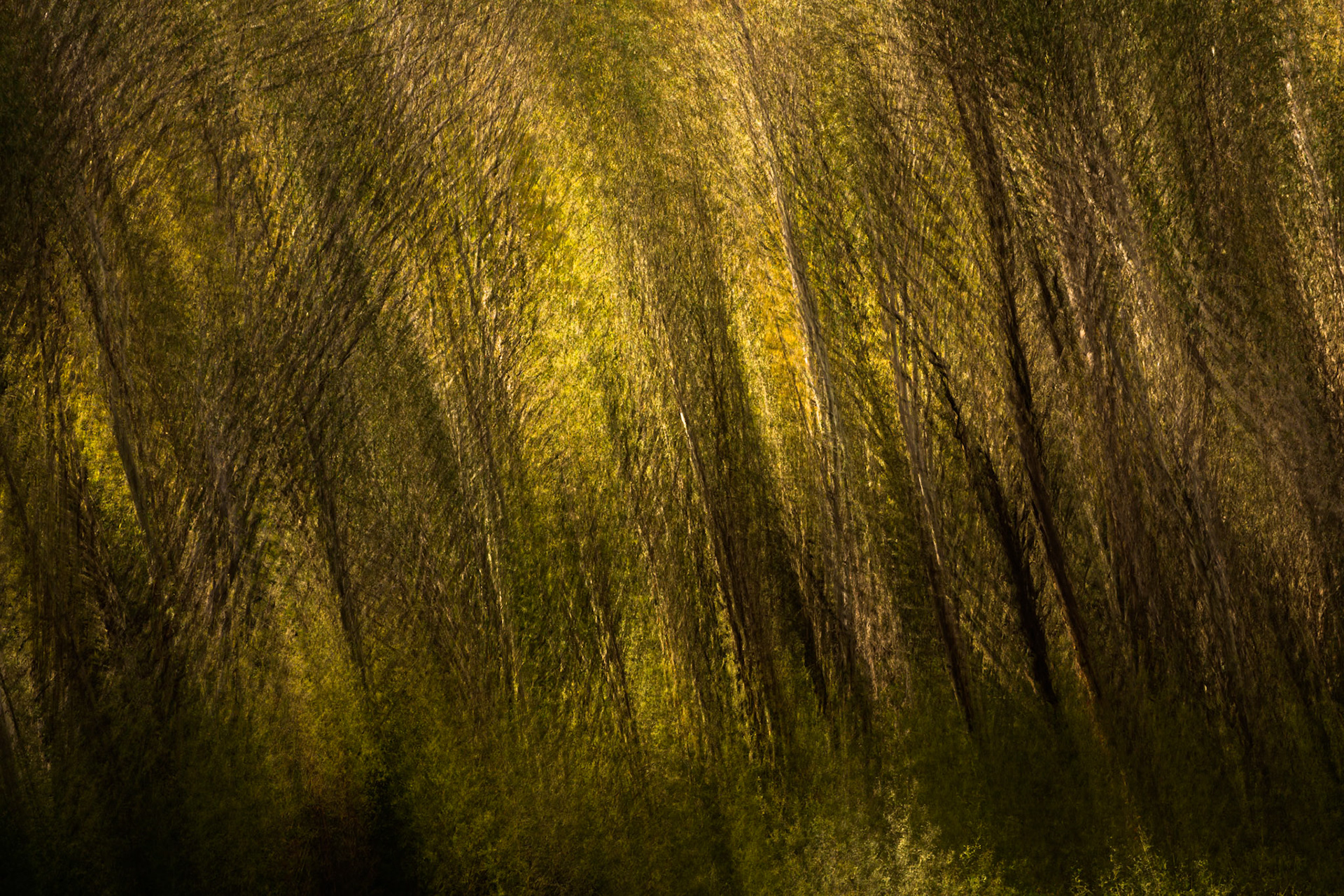 Thredbo to the cablecar and return, Mount Kosciuszko National Park, Snowy Mountains, New South Wales