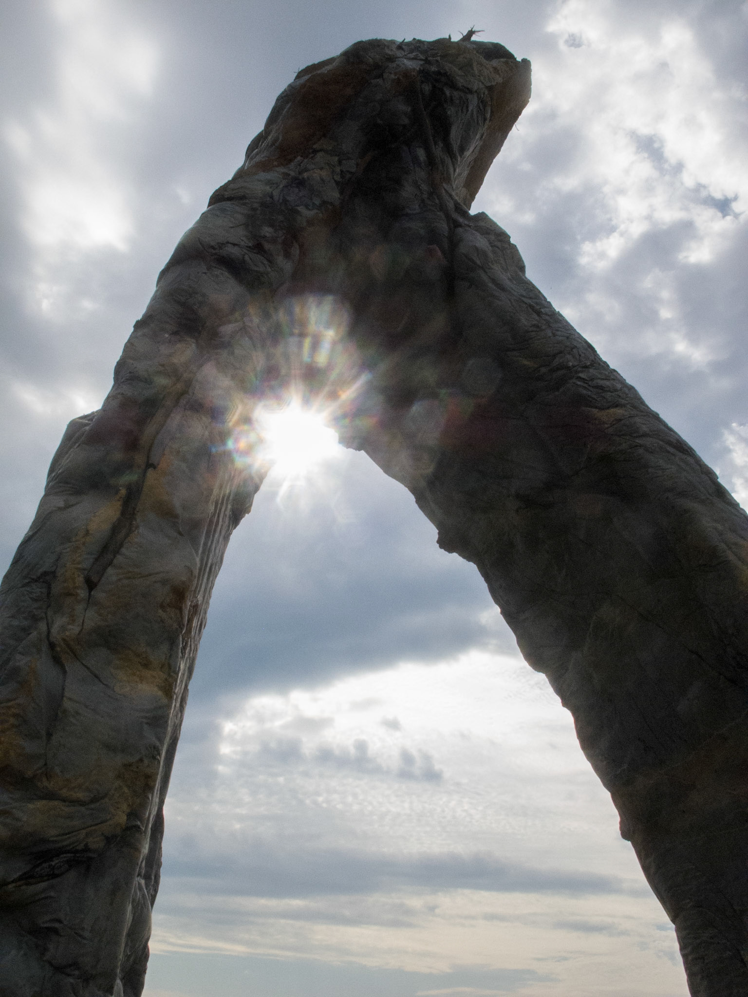 Sculpture by the Sea. An annual exhibition of sculptures presented along the Bondi to Tamarama coastal walk.