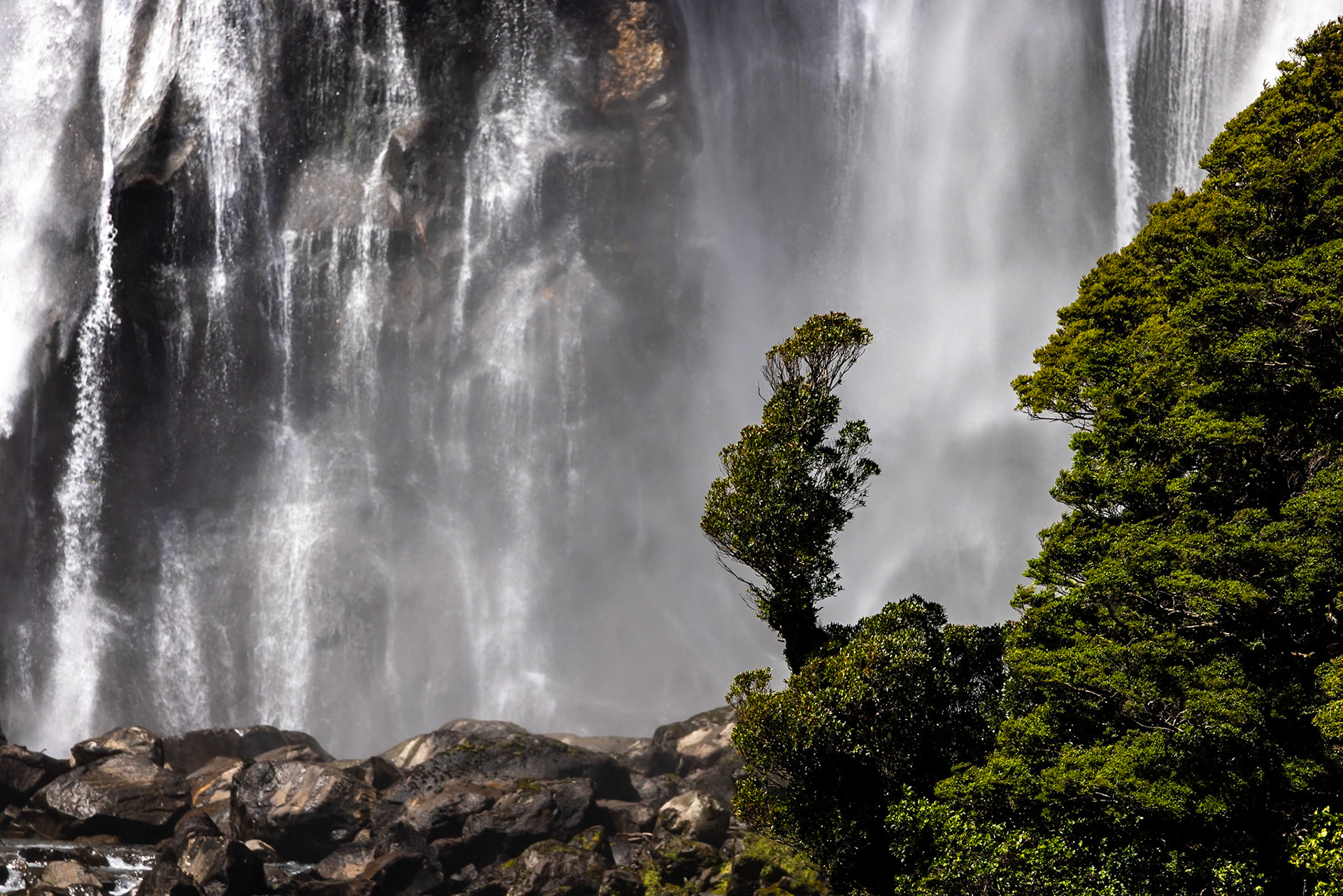 Milford, New Zealand
