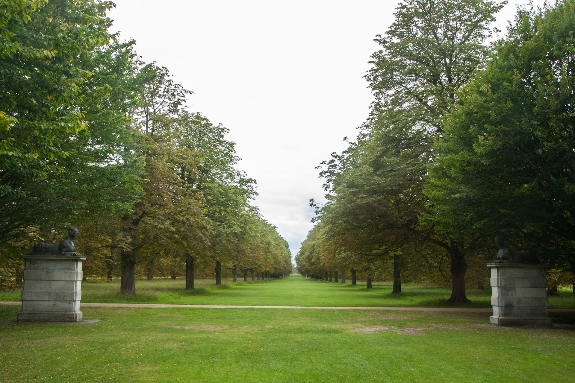 Avenue of trees, Anglesey Abbey, Cambridgeshire.