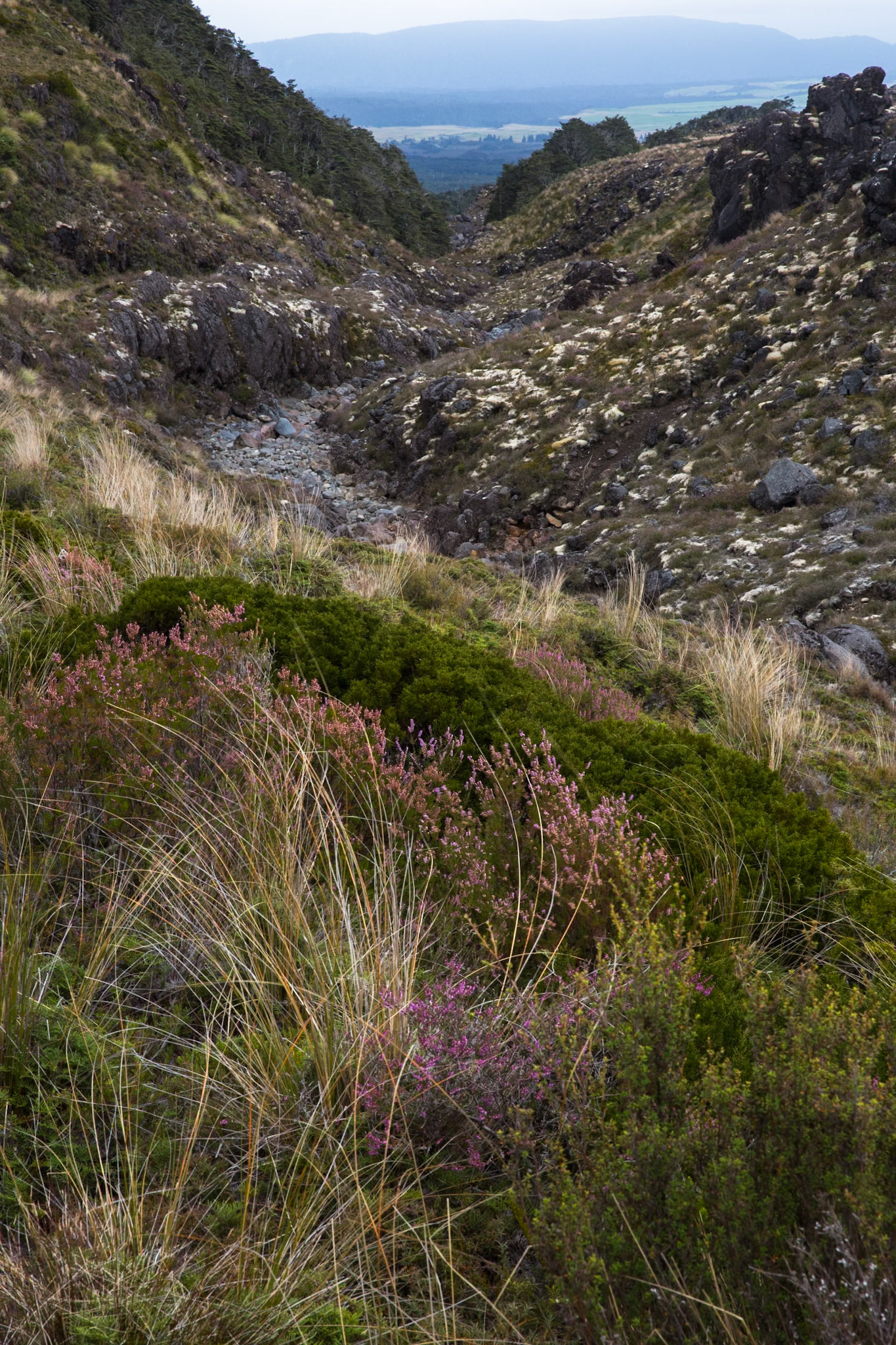 Silica rapids, Tongariro, New Zealand