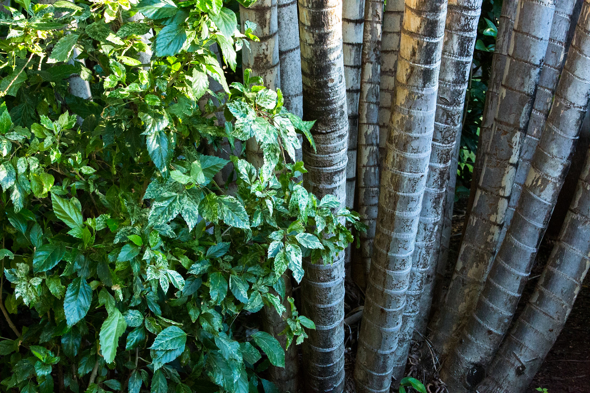 Views from the homestead, El Questro Wilderness Park, The Kimberly, Western Australia
