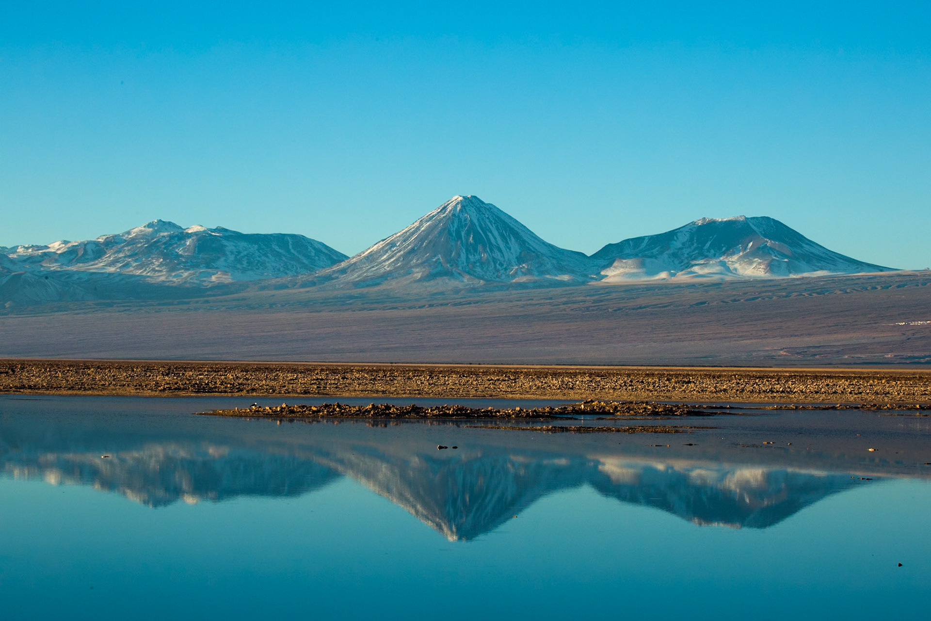 Salar de Atacama, Chaxa lagoon, Atacama, Chile