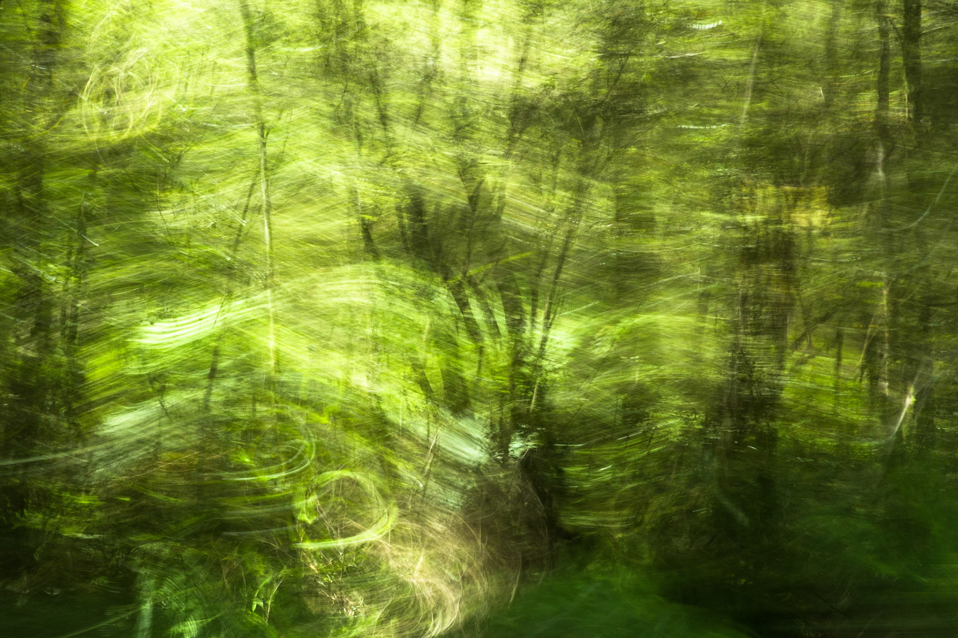 Bus ride, Milkford Sound to Te Anau