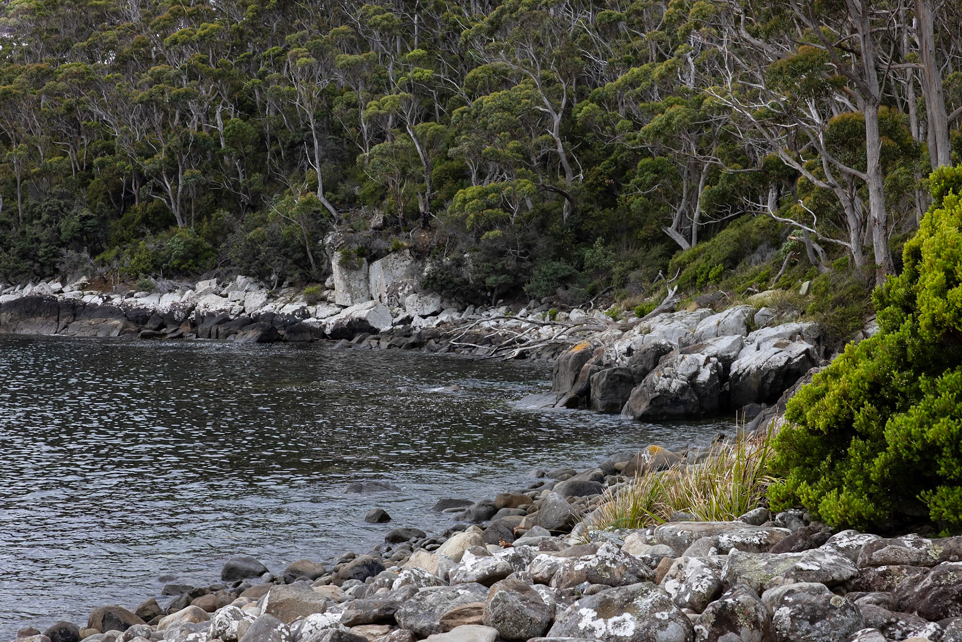 Three Capes Track, Denman's Cove to Crescent Lodge, Tasmania