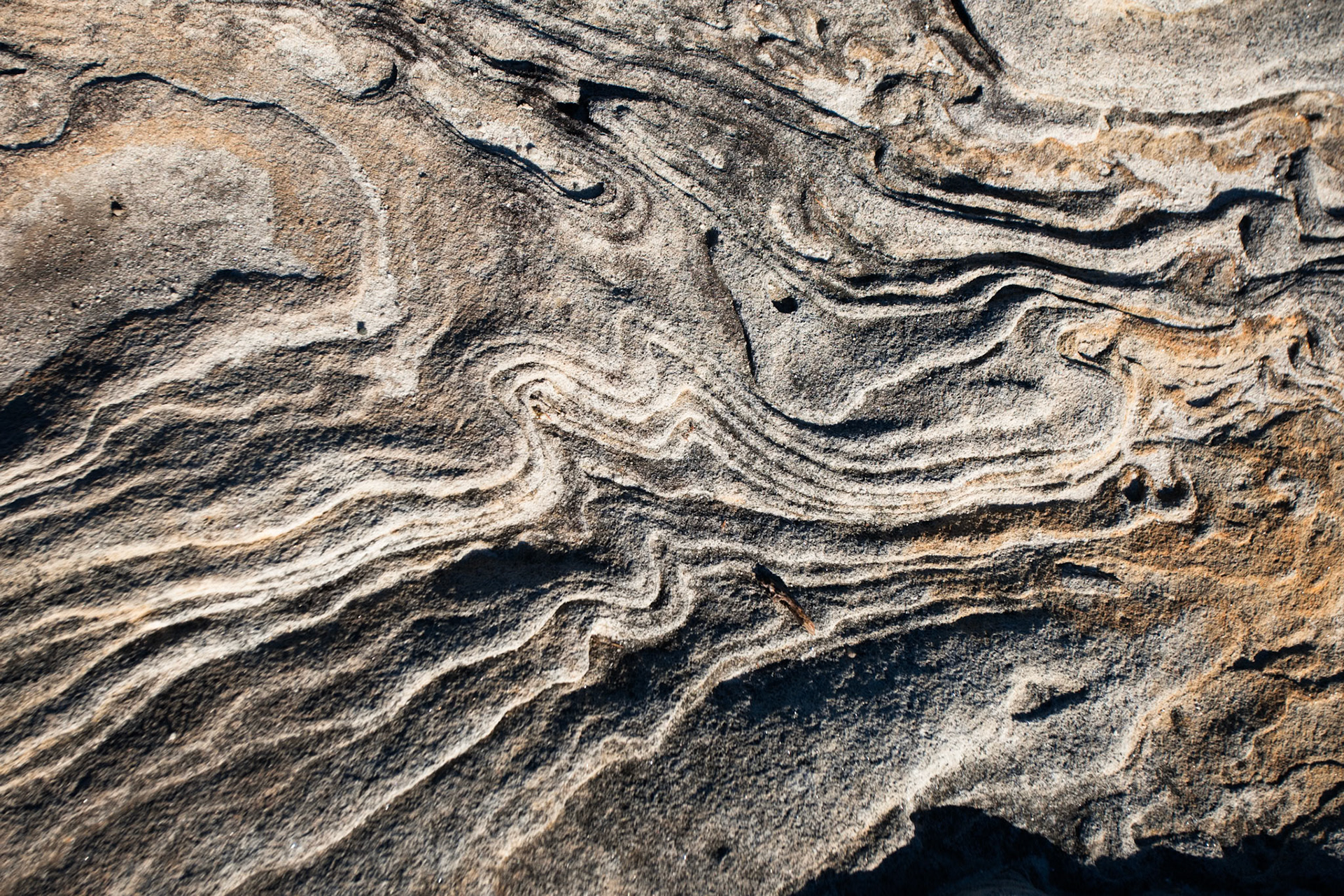 Weathering patterns in the rocks, Cape Solander, Kamay Botany Bay National Park