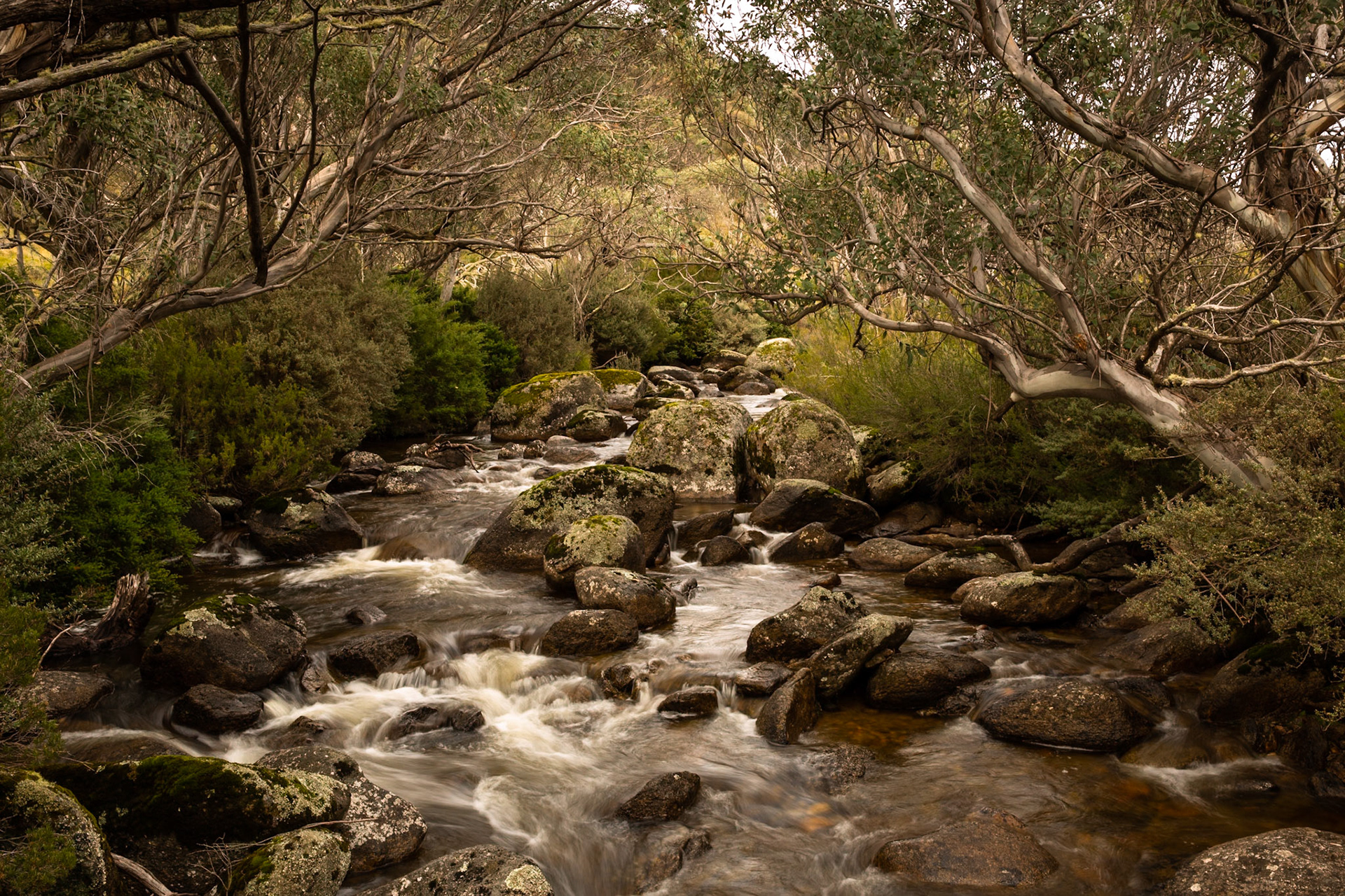 Thredbo to the cablecar and return, Mount Kosciuszko National Park, Snowy Mountains, New South Wales