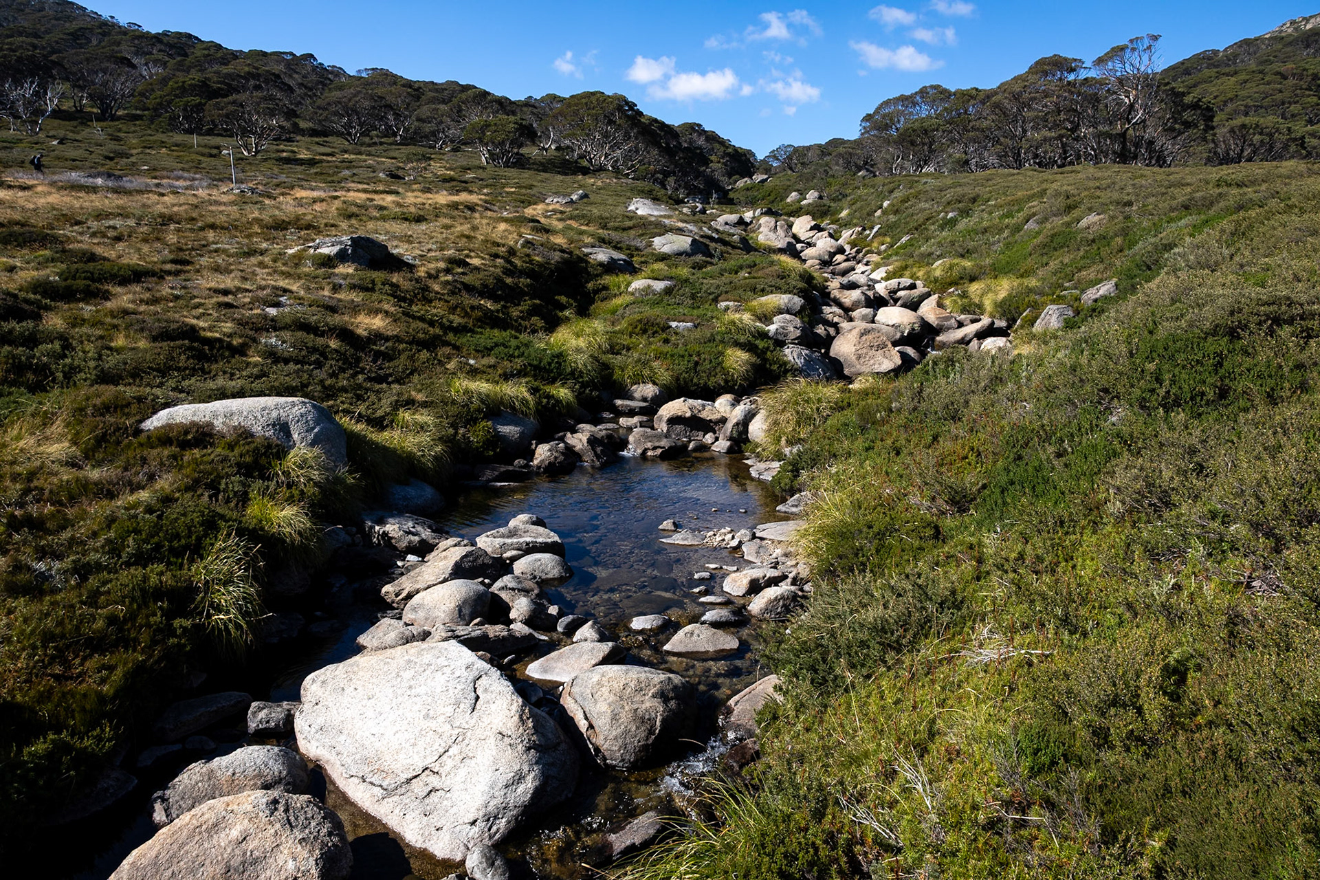 Charlotte's Pass to Perisher Valley, Snowies Hiking Trail, Snowy Mountains, New South Wales, Australia