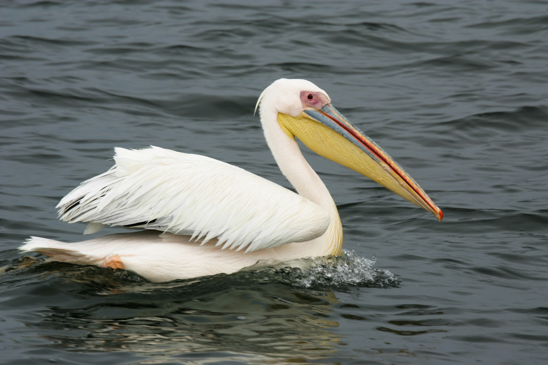 Sesriem to Sandwich harbour, Namibia