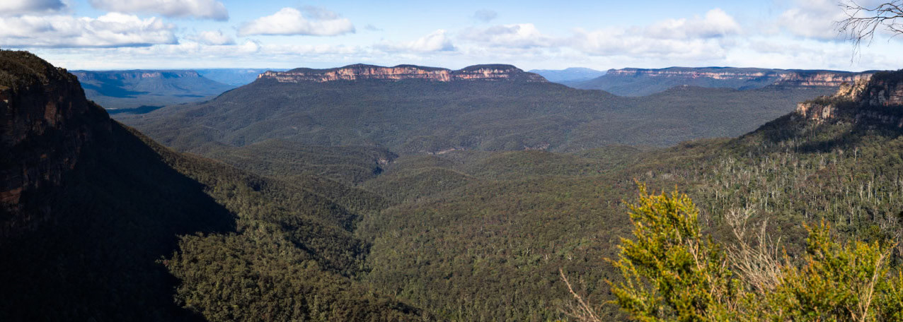 Started on the track to Golf Links lookout. Walked past the Pool of Siloam to Gordon Falls lookout. Followed the Prince Henry cliff walk to Leura Cascades from where we descended through Leura Forest to the junction with Federal Pass tea stop. Continued along Federal Pass past the junction with Dardanelles Pass (near the base of the Giant Staircase); past the base of Furber Steps to the Scenic Railway lower station (Lunch stop).  Some returned via the Scenic Railway, whilst others retraced steps and ascended the Giant Staircase to Echo Point. Notes by Peter Watt.