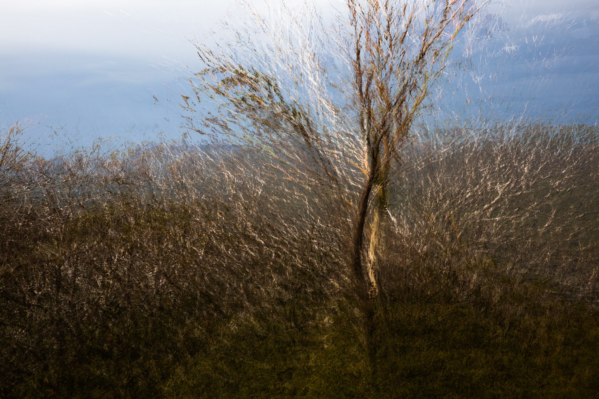 Thredbo to the cablecar and return, Mount Kosciuszko National Park, Snowy Mountains, New South Wales