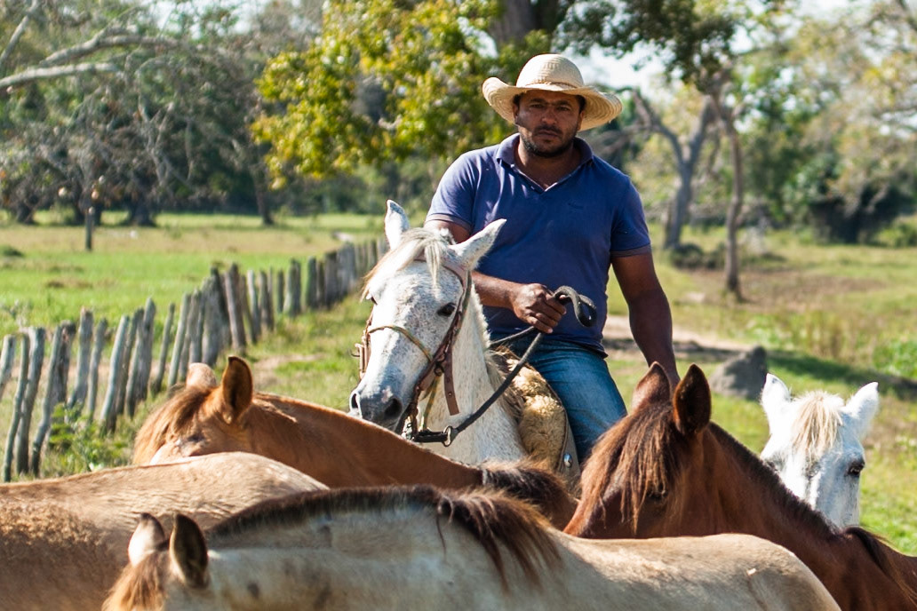 Peón, Pousada Piuval, Pantanal, Brazil