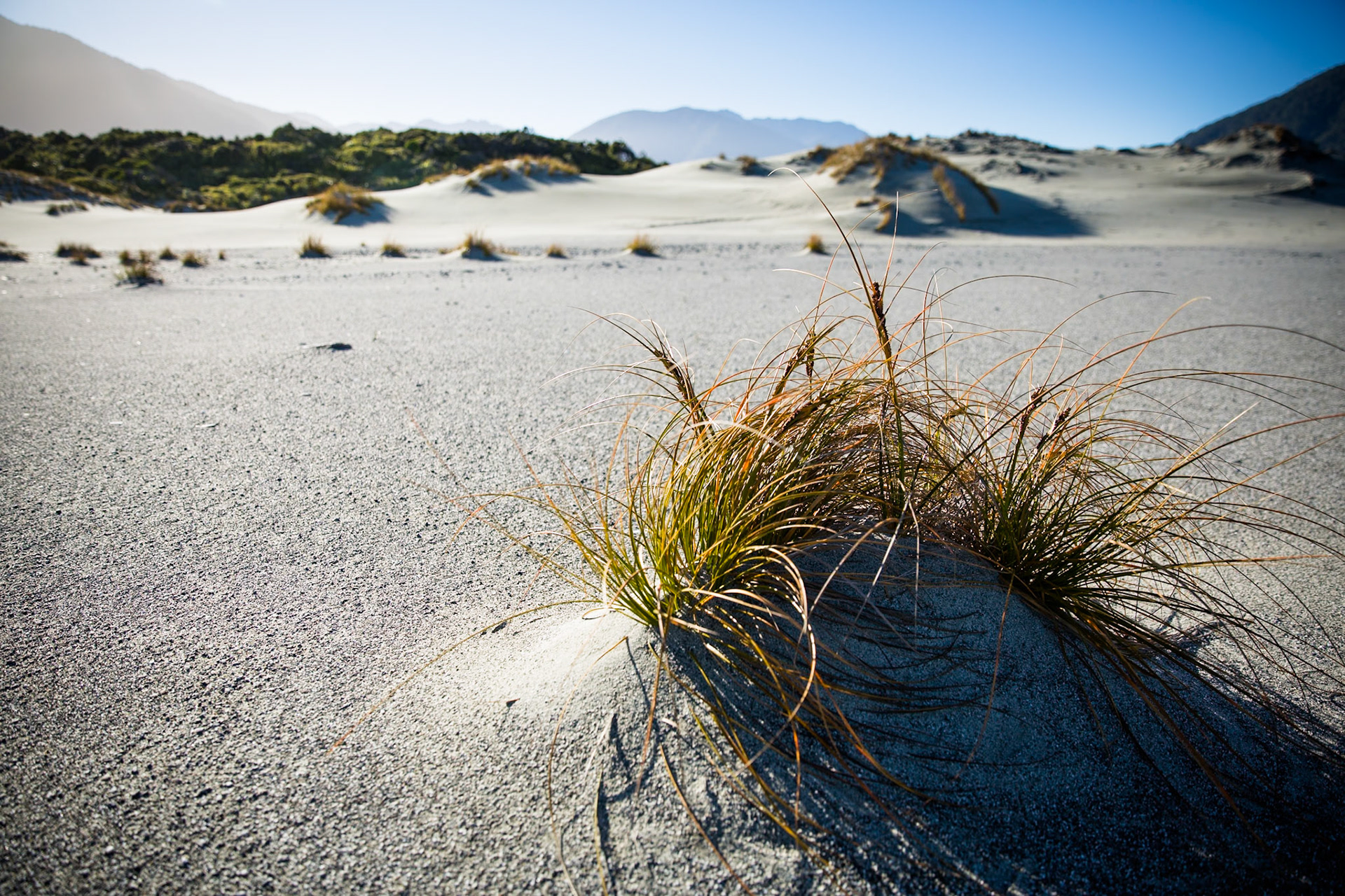 Hollyford Track, Martin's Bay, New Zealand