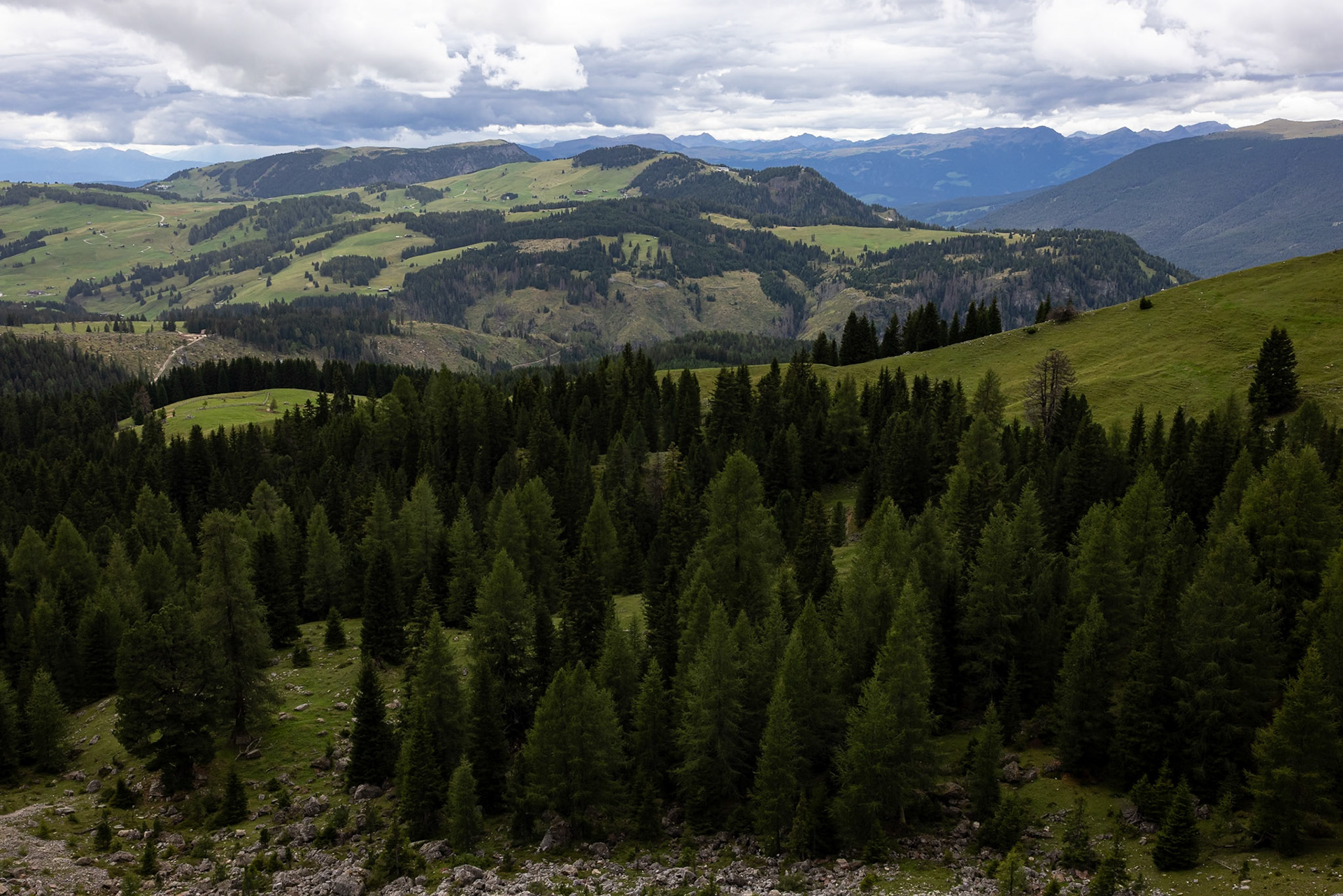 Passo Sella, Sassolungo, Selva di Val Gardena, Dolomites, South Tyrol, Italy