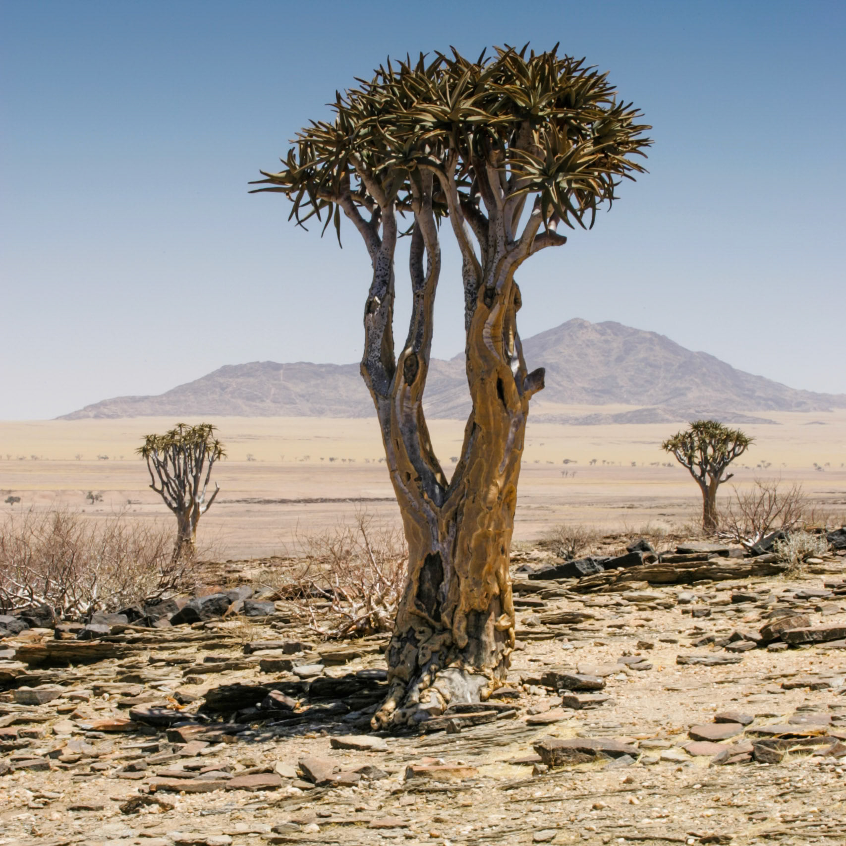 Sesriem to Sandwich harbour, Namibia
