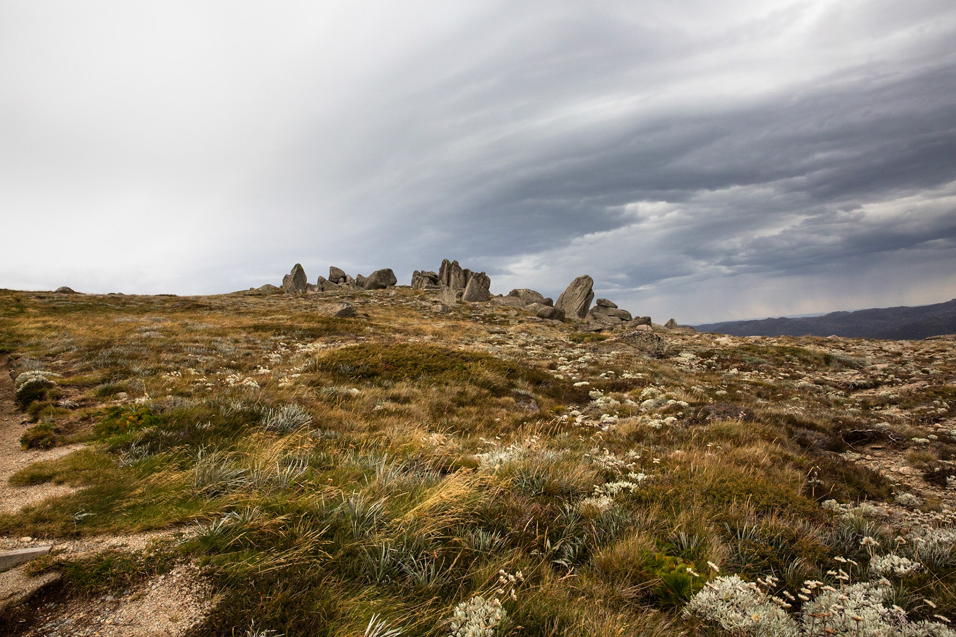 Thredbo to the cablecar and return, Mount Kosciuszko National Park, Snowy Mountains, New South Wales