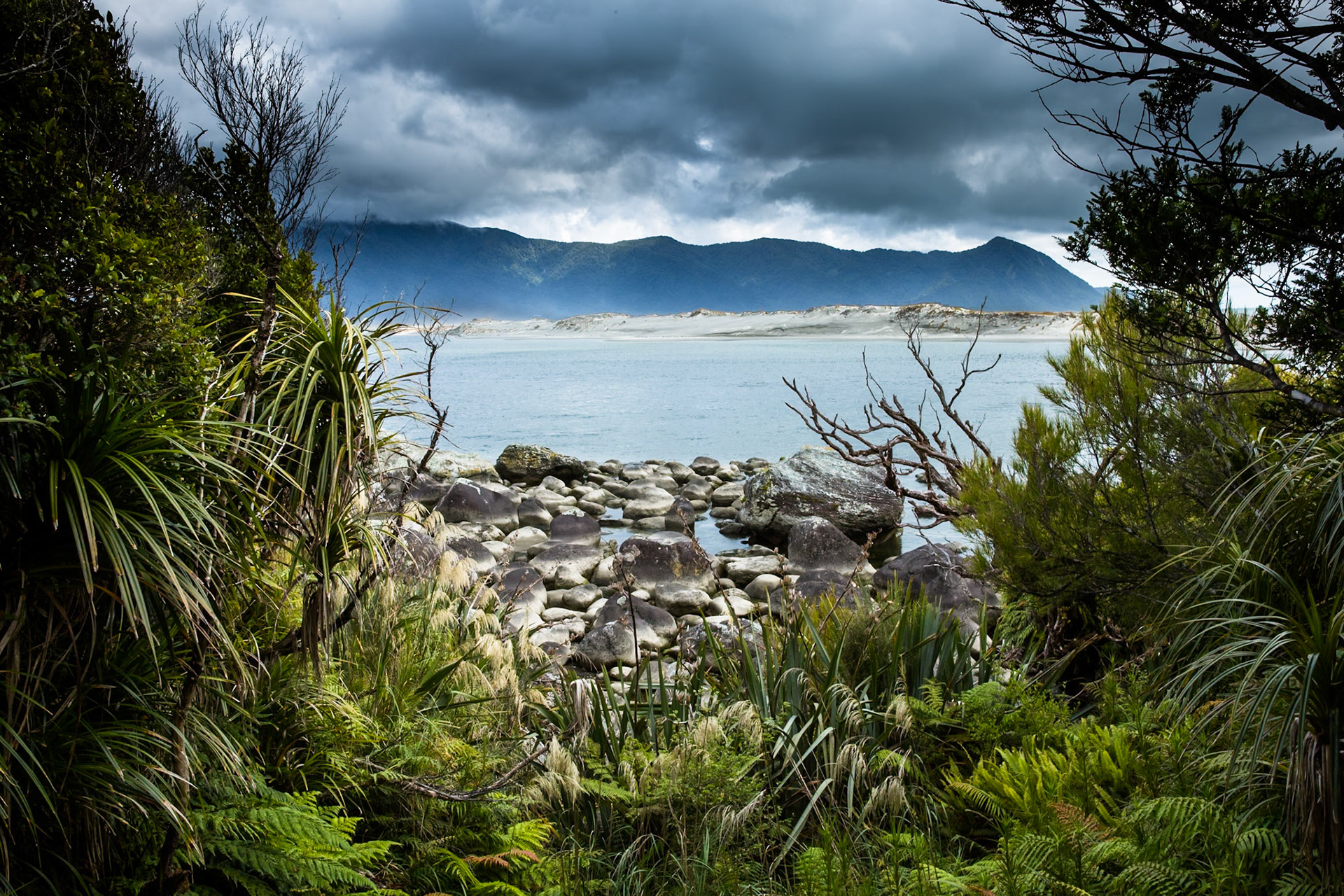 Longreef, Hollyford Track, Pyke Lodge to Martin's Bay, New Zealand