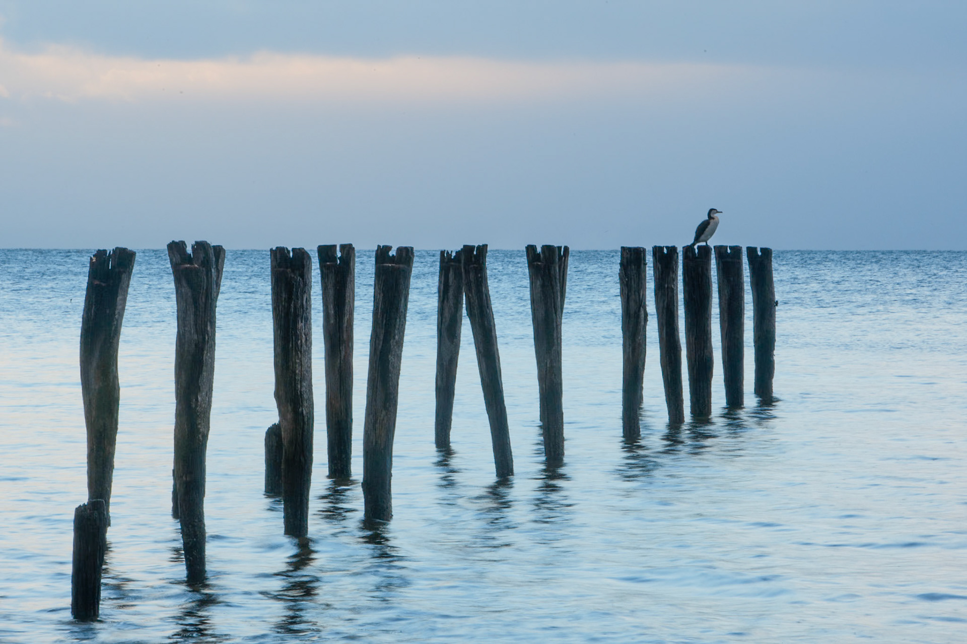 Old pier, Reeves Point, Kangaroo Island at dawn
