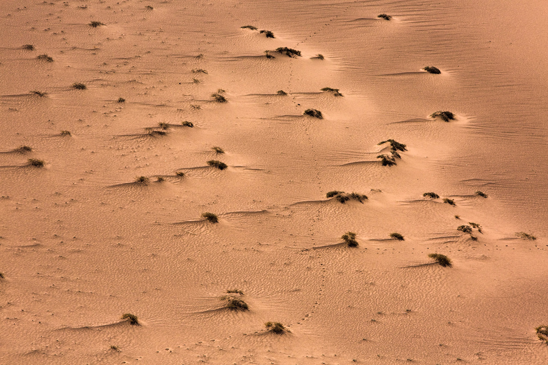 Valle de la Muerte (Death Valley), Atacama, Chile
