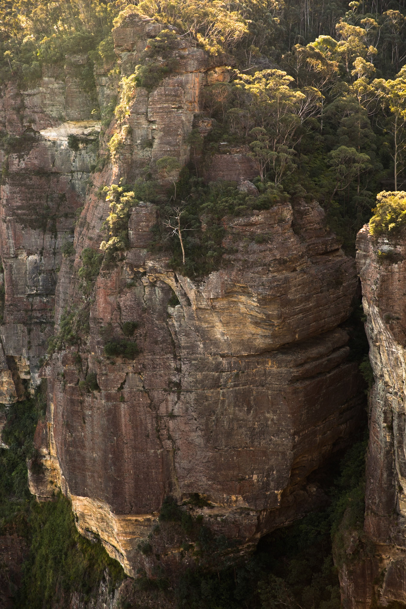 Descended from Neates Glen car park down to and through the Grand Canyon and back up to Evans Lookout. We continued along the clifftop path to Govett's leap and then on to Pulpit Rock. Notes by Peter Watt.