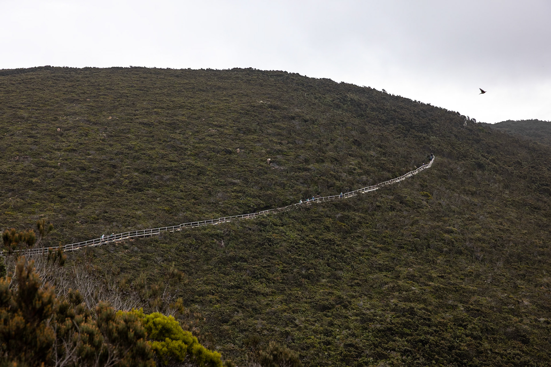 Three Capes Track, Cape Pillar Lodge to Cape Pillar and return, Tasmania